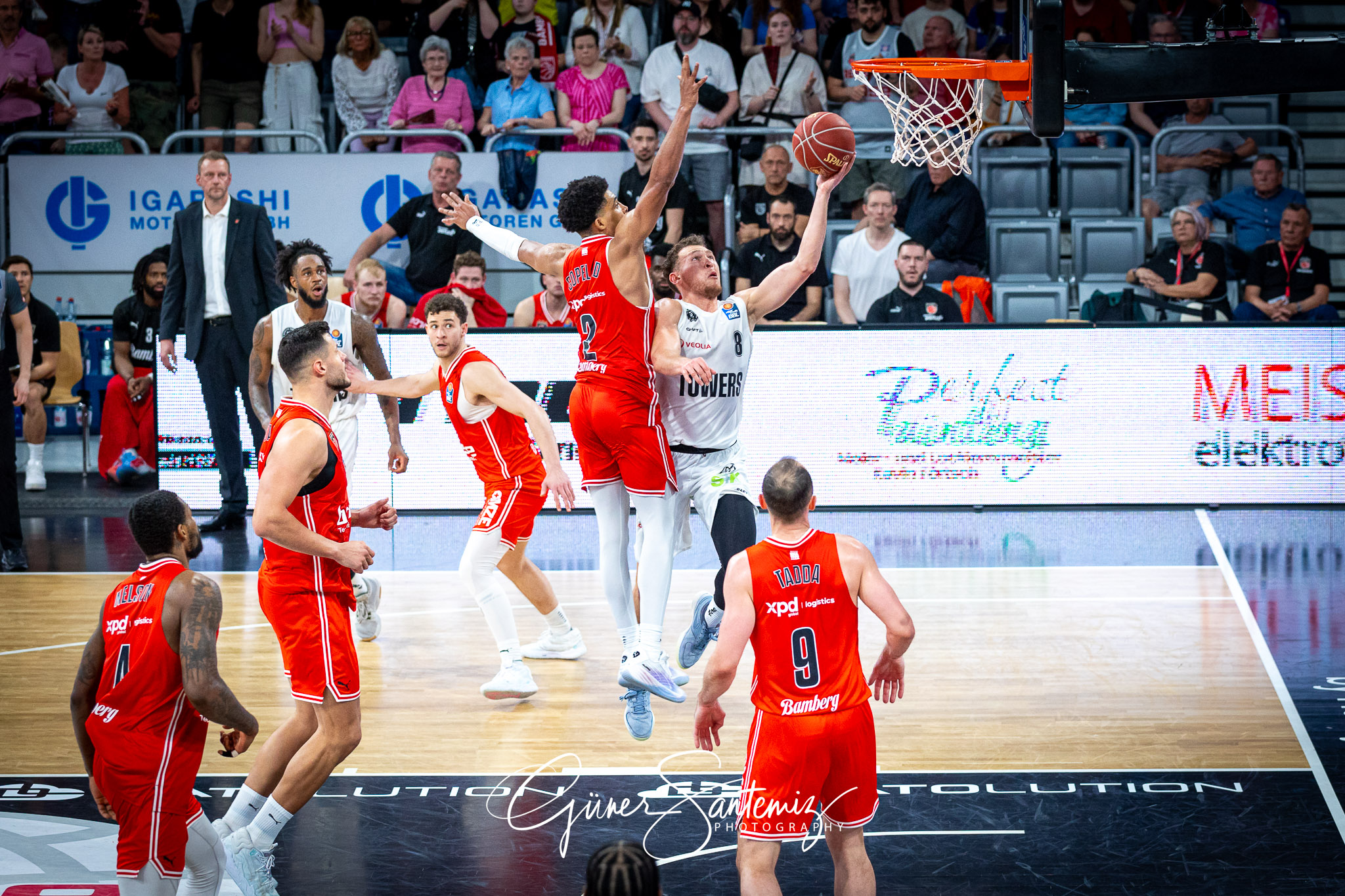 Bamberg Baskets vs. Veolia Hamburg Towers - Basketball - easyCre