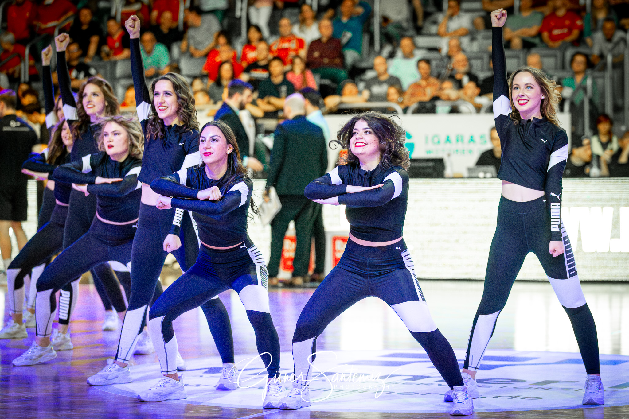 Bamberg Baskets vs. Veolia Hamburg Towers - Basketball - easyCre