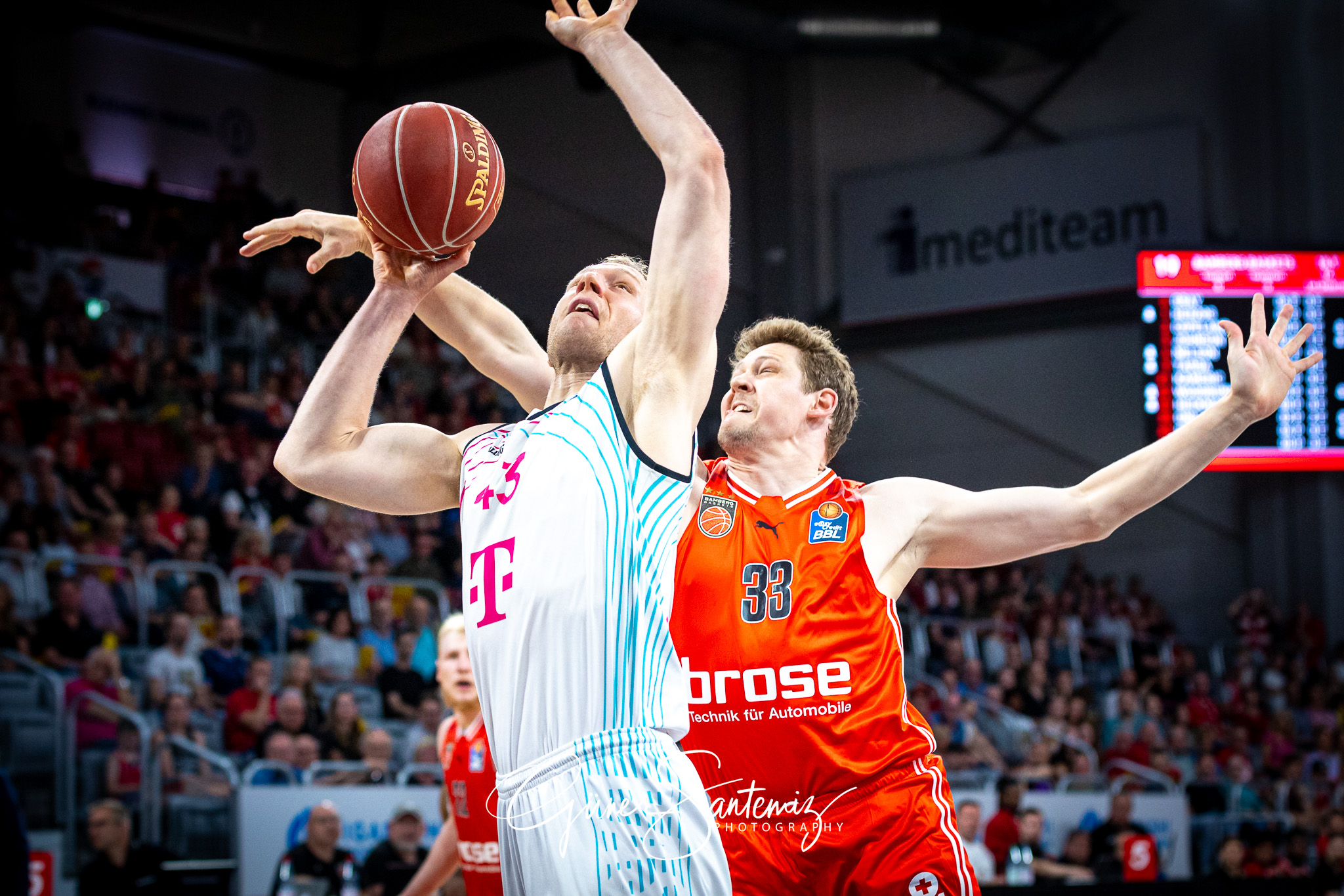 Bamberg Baskets vs. Telekom Baskets Bonn - Basketball - easyCred