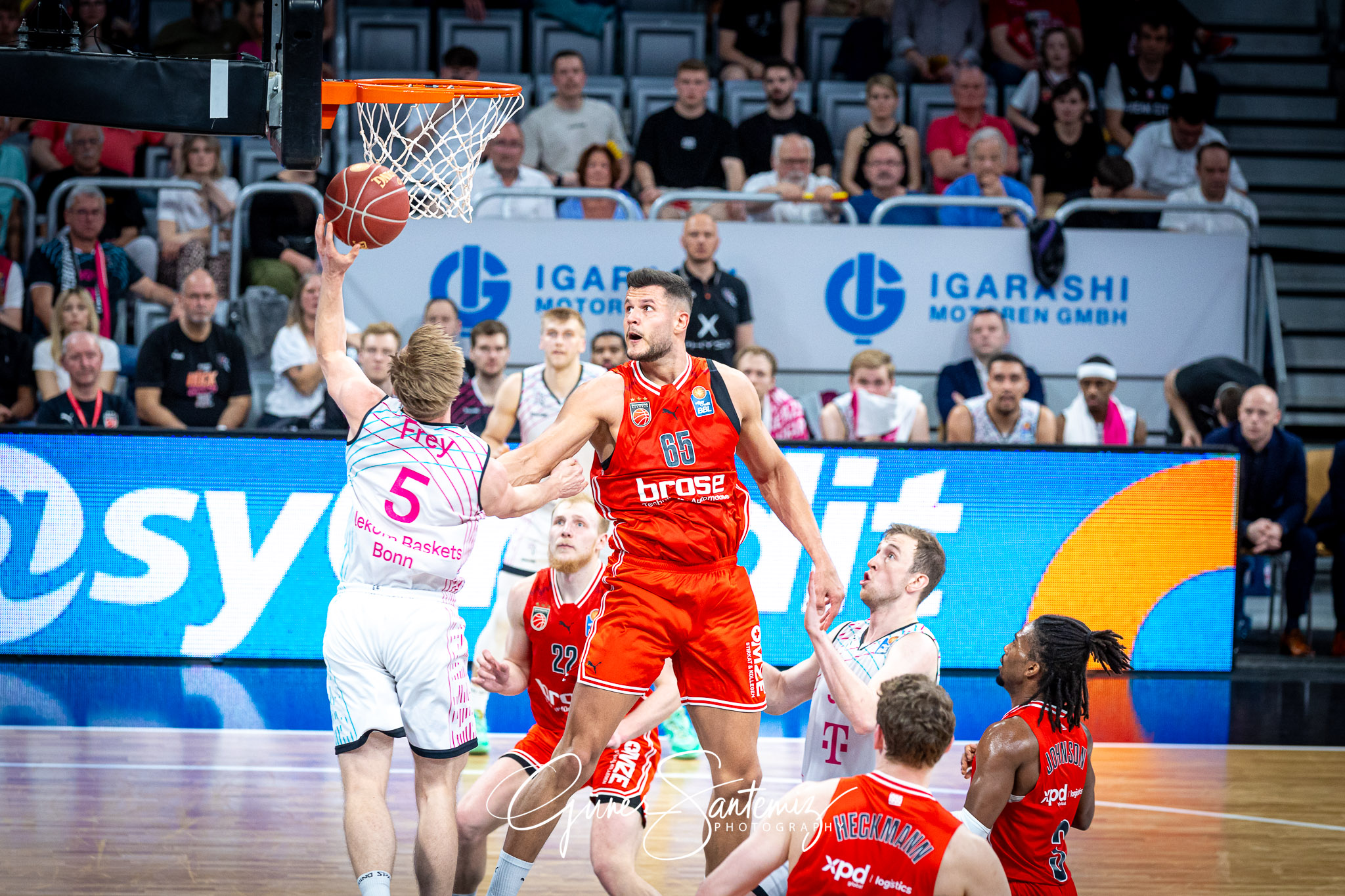 Bamberg Baskets vs. Telekom Baskets Bonn - Basketball - easyCred