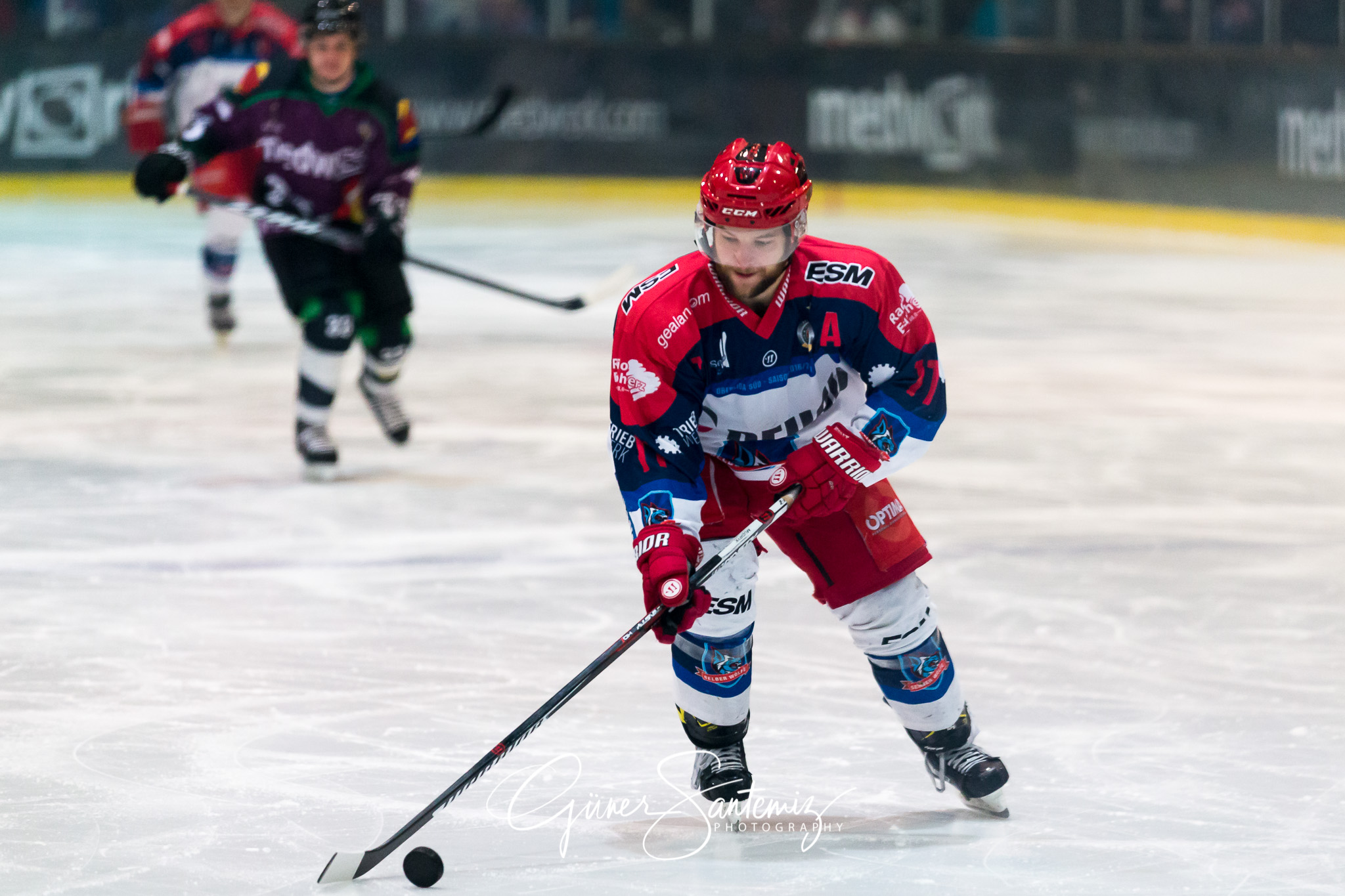 Höchstadt Alligators - Selber Wölfe