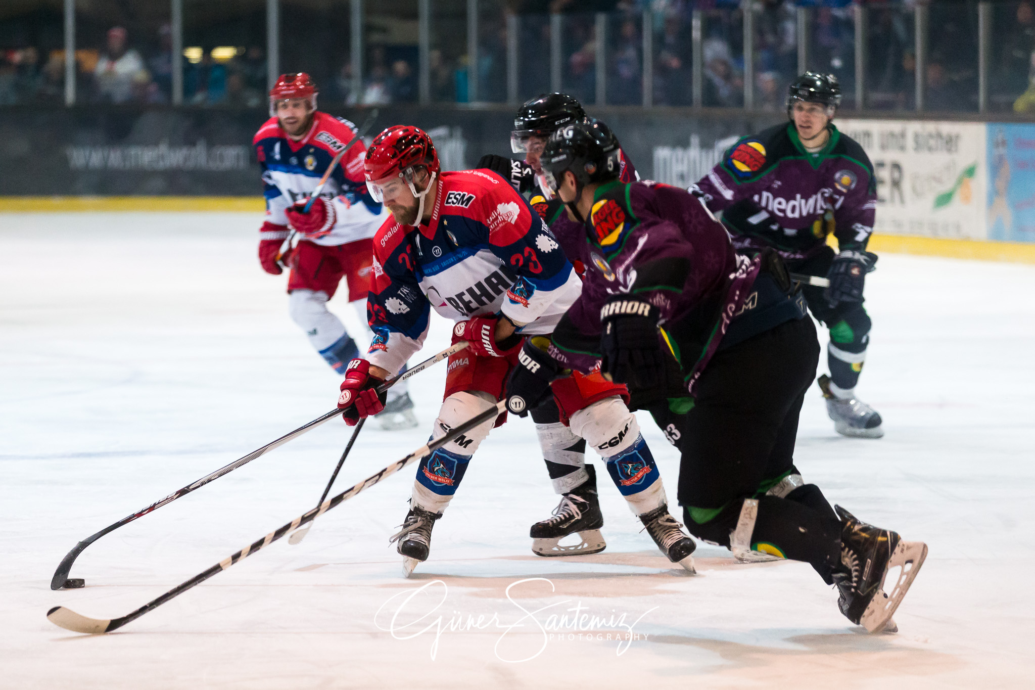 Höchstadt Alligators - Selber Wölfe