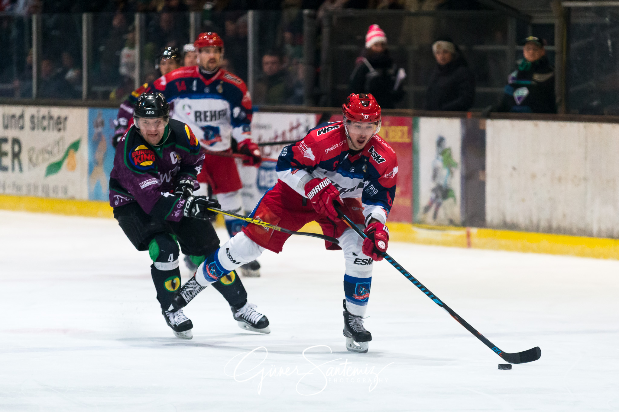 Höchstadt Alligators - Selber Wölfe