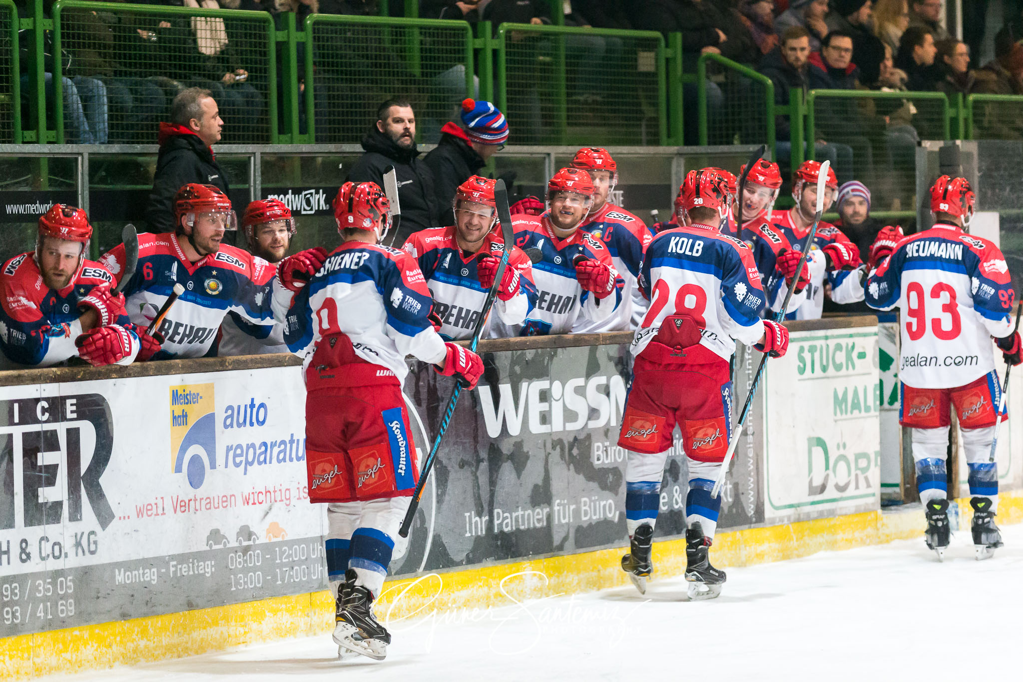 Höchstadt Alligators - Selber Wölfe