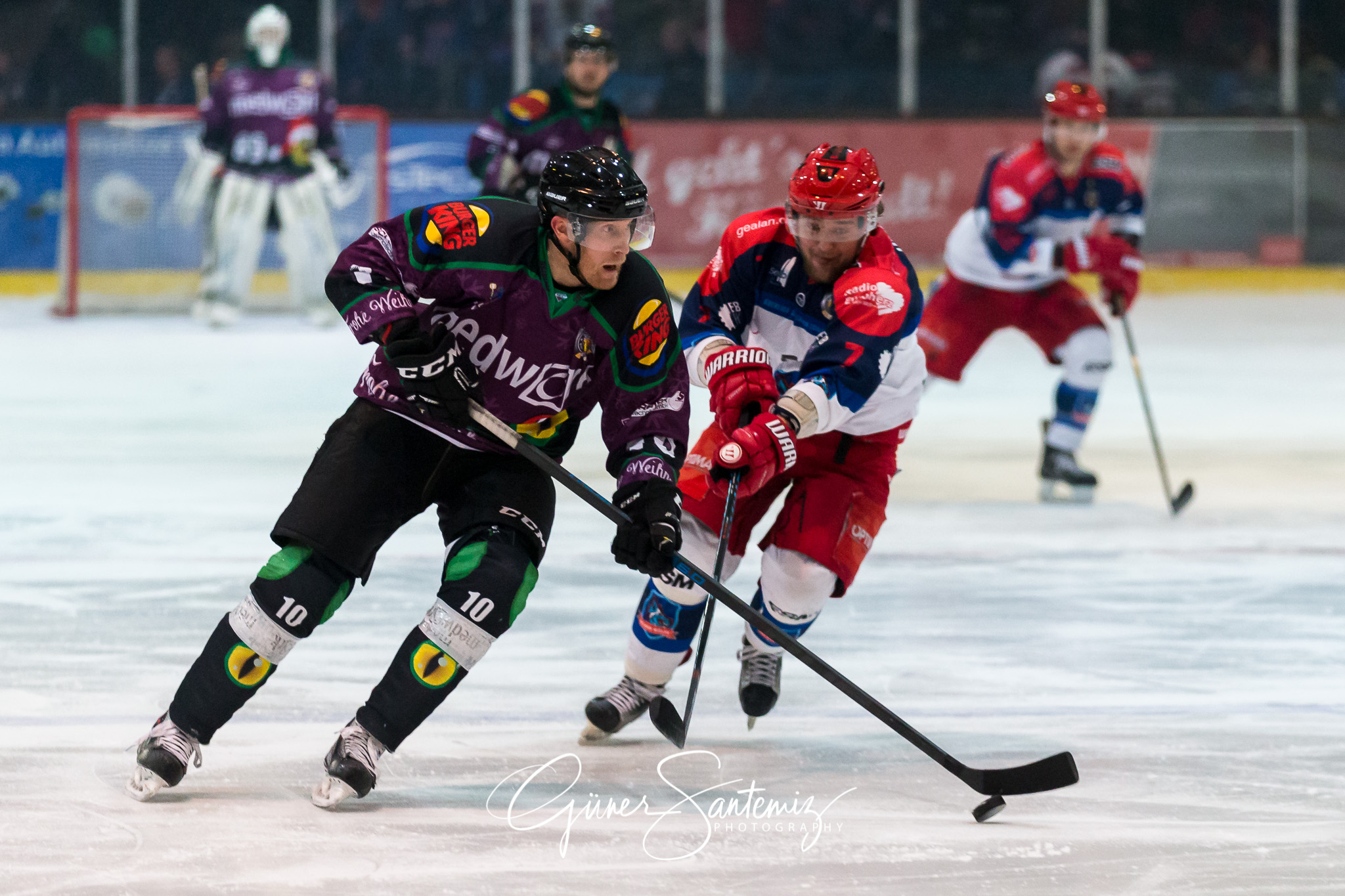 Höchstadt Alligators - Selber Wölfe