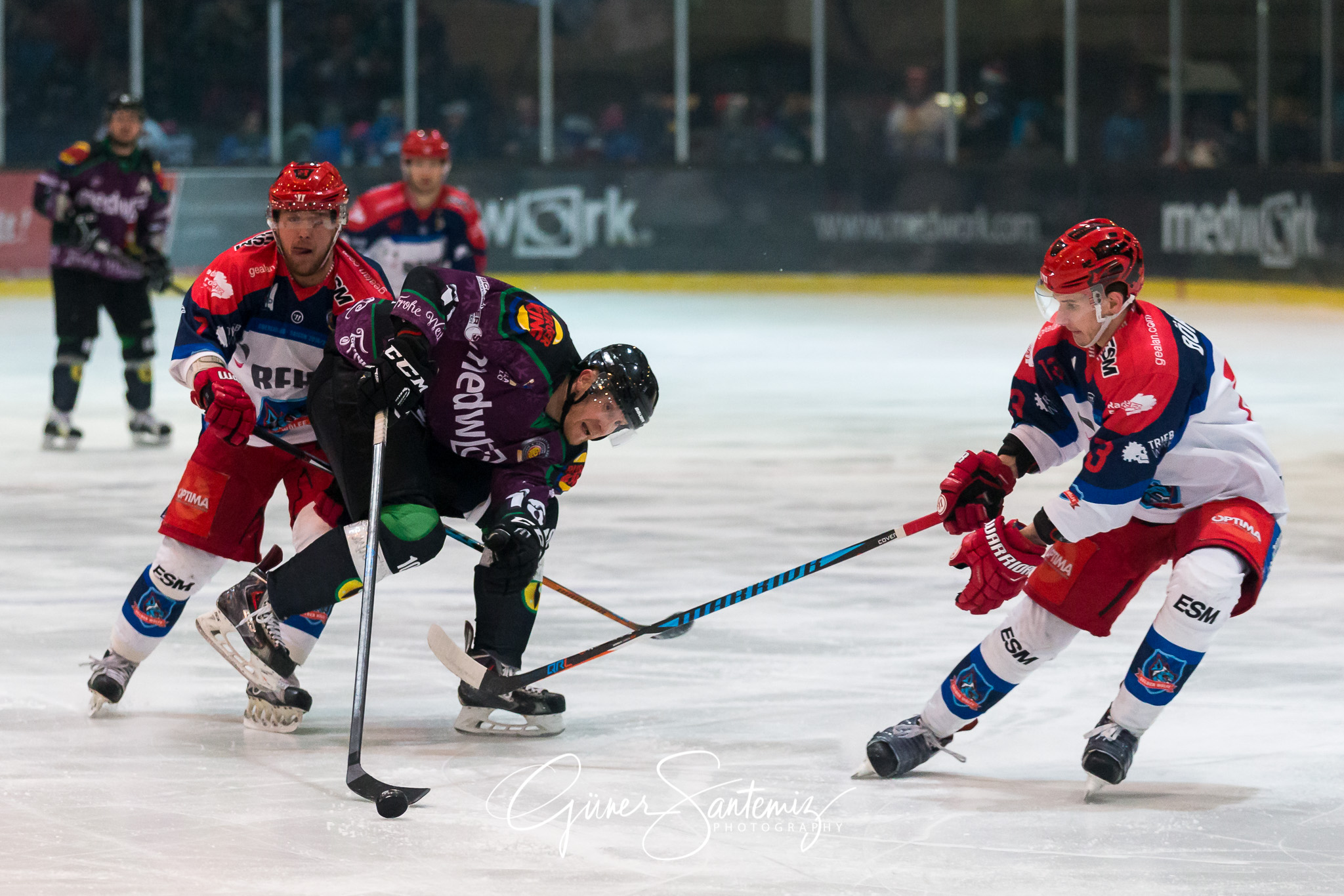 Höchstadt Alligators - Selber Wölfe