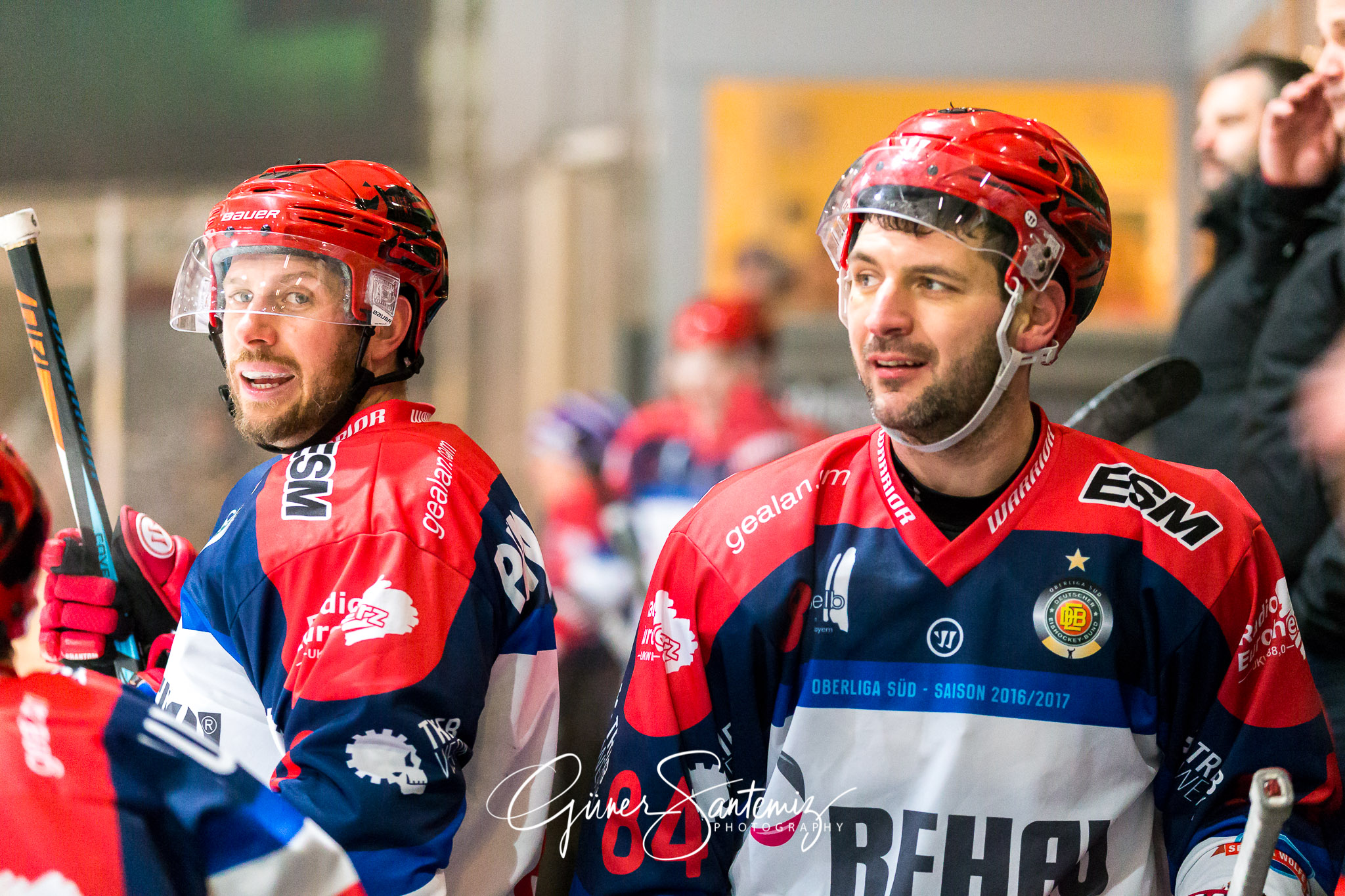 Höchstadt Alligators - Selber Wölfe