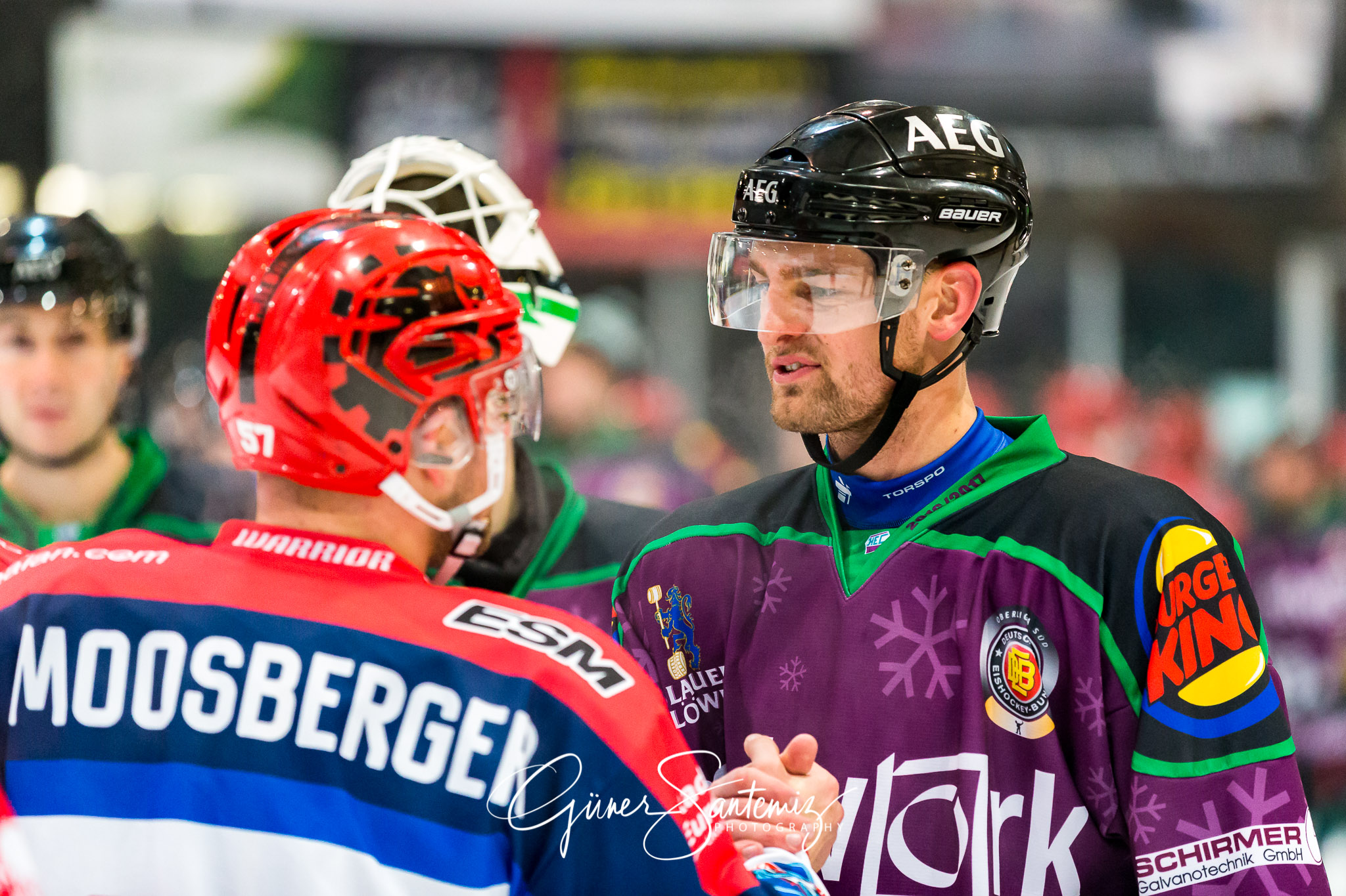 Höchstadt Alligators - Selber Wölfe