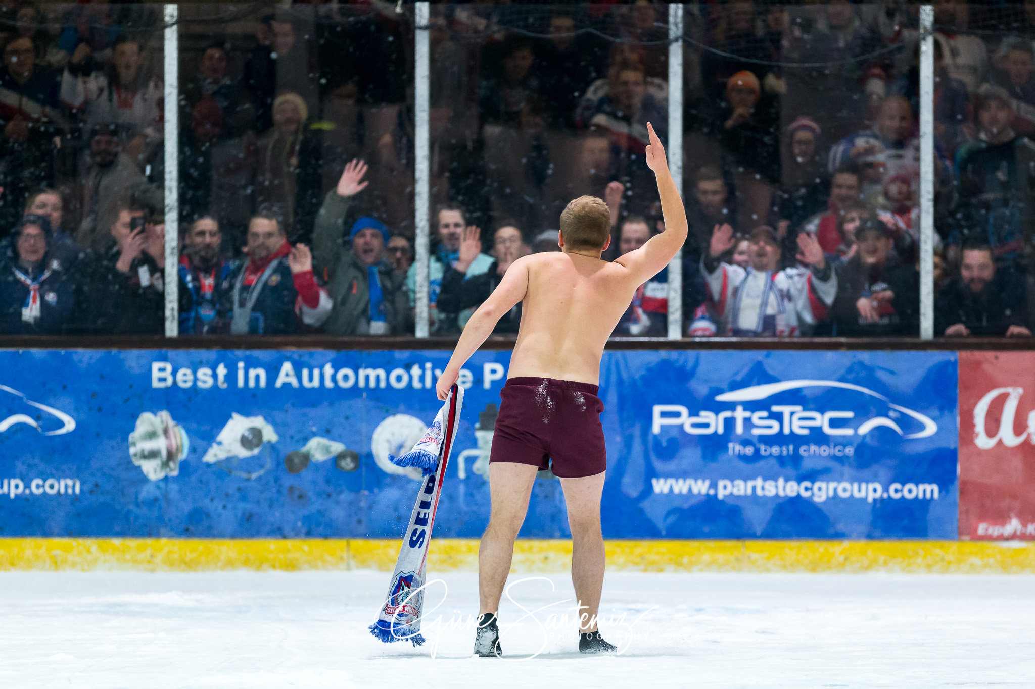 Höchstadt Alligators - Selber Wölfe