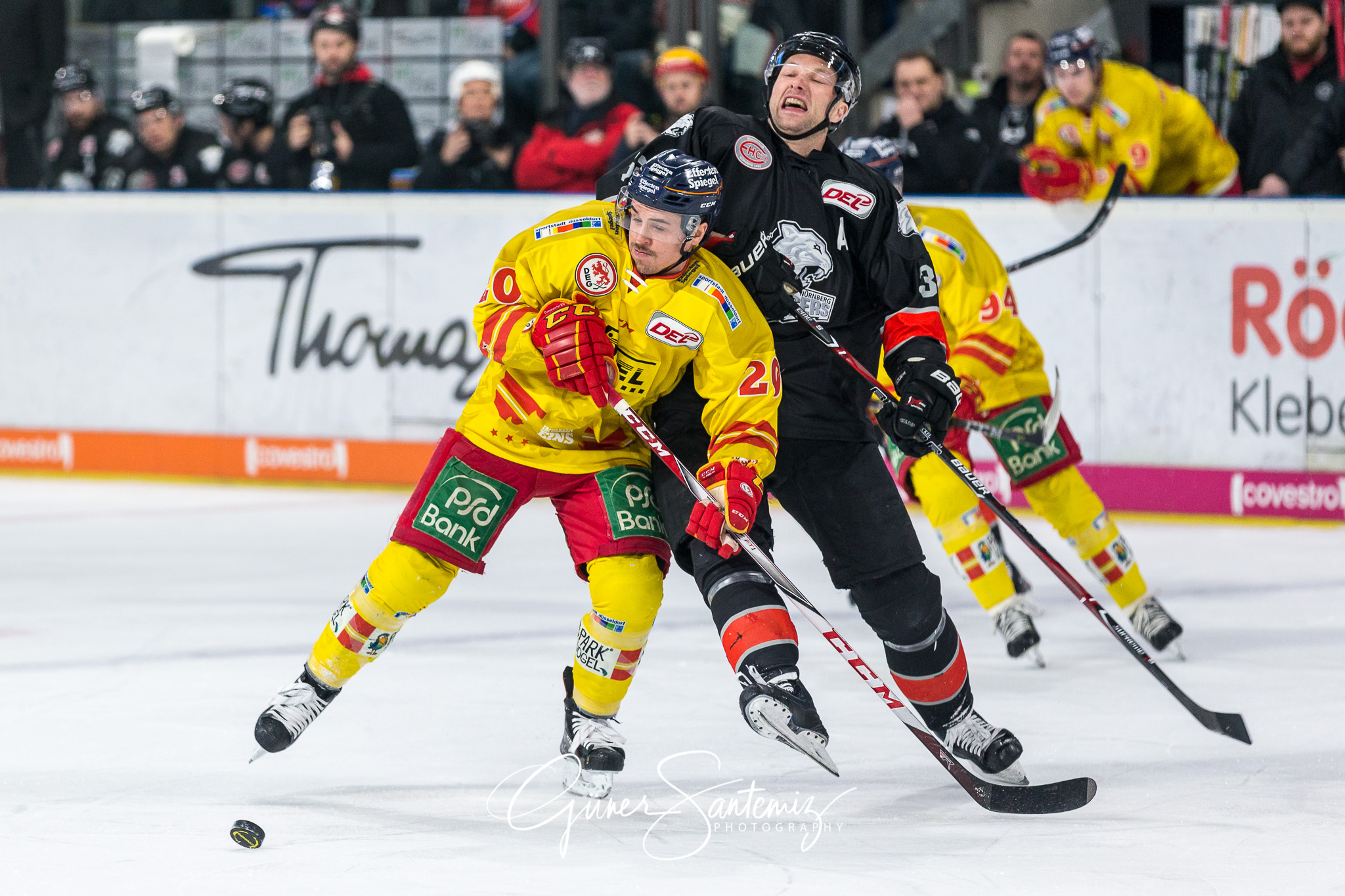 Nuernberg Ice Tigers - Duesseldorfer EG