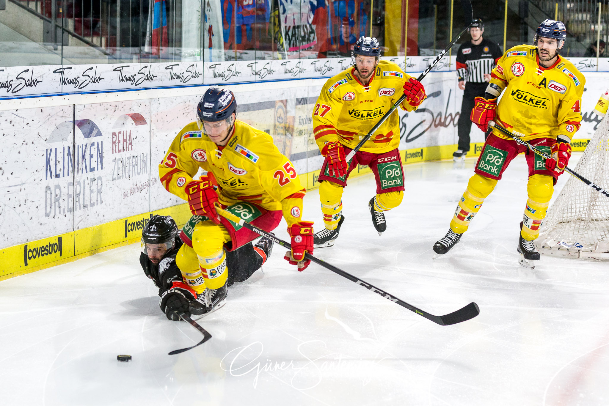 Nuernberg Ice Tigers - Duesseldorfer EG