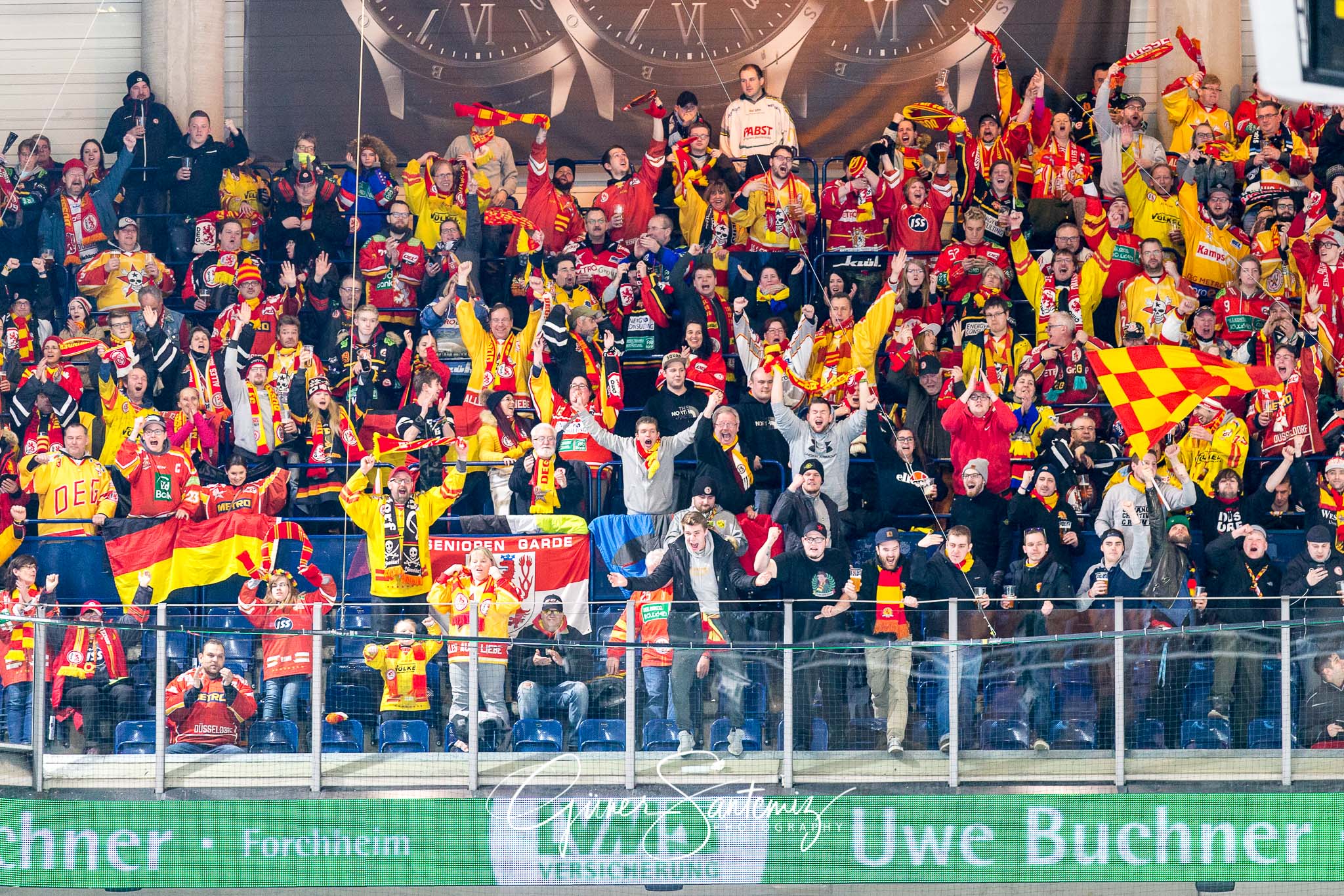 Nuernberg Ice Tigers - Duesseldorfer EG