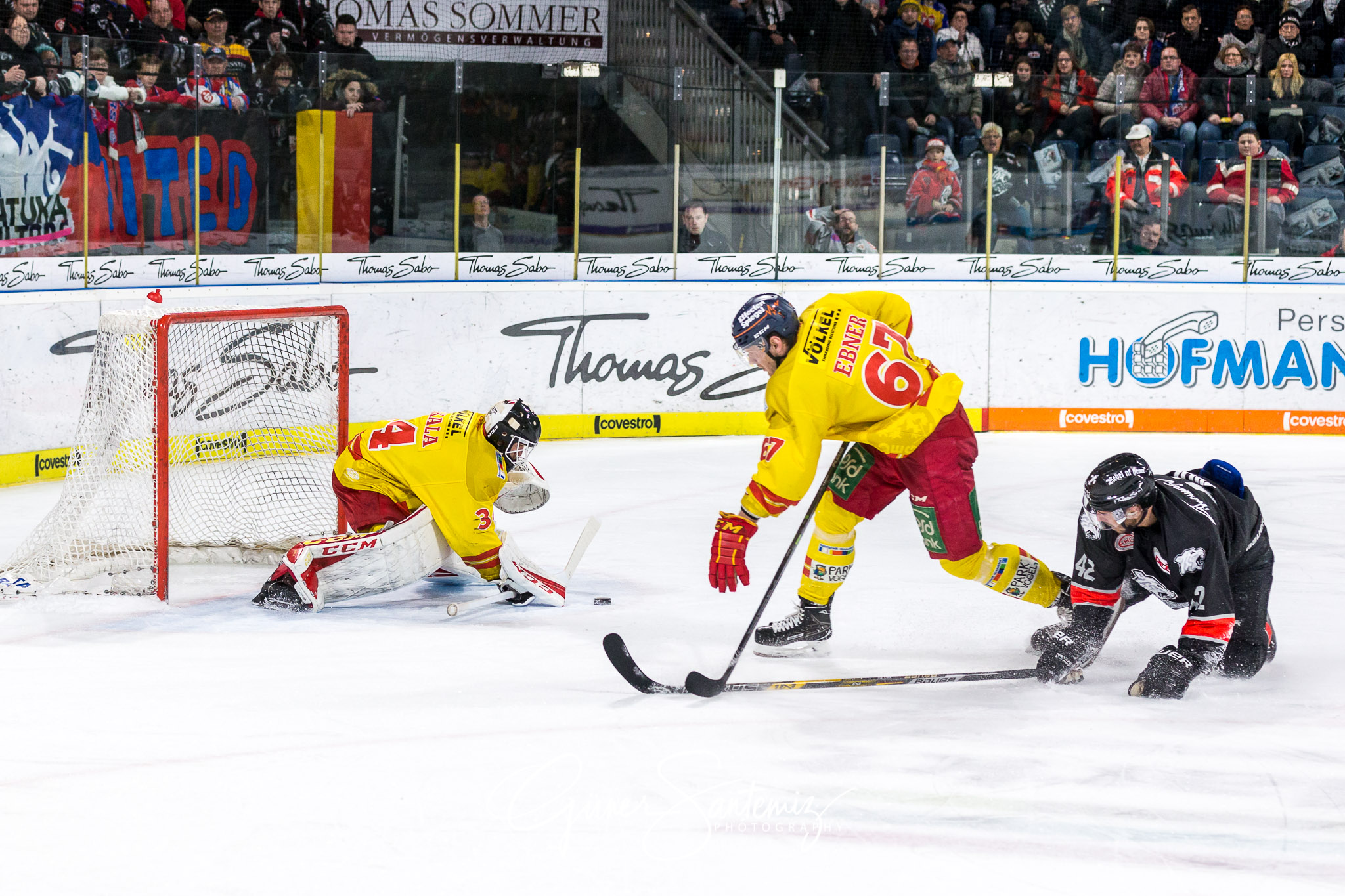 Nuernberg Ice Tigers - Duesseldorfer EG