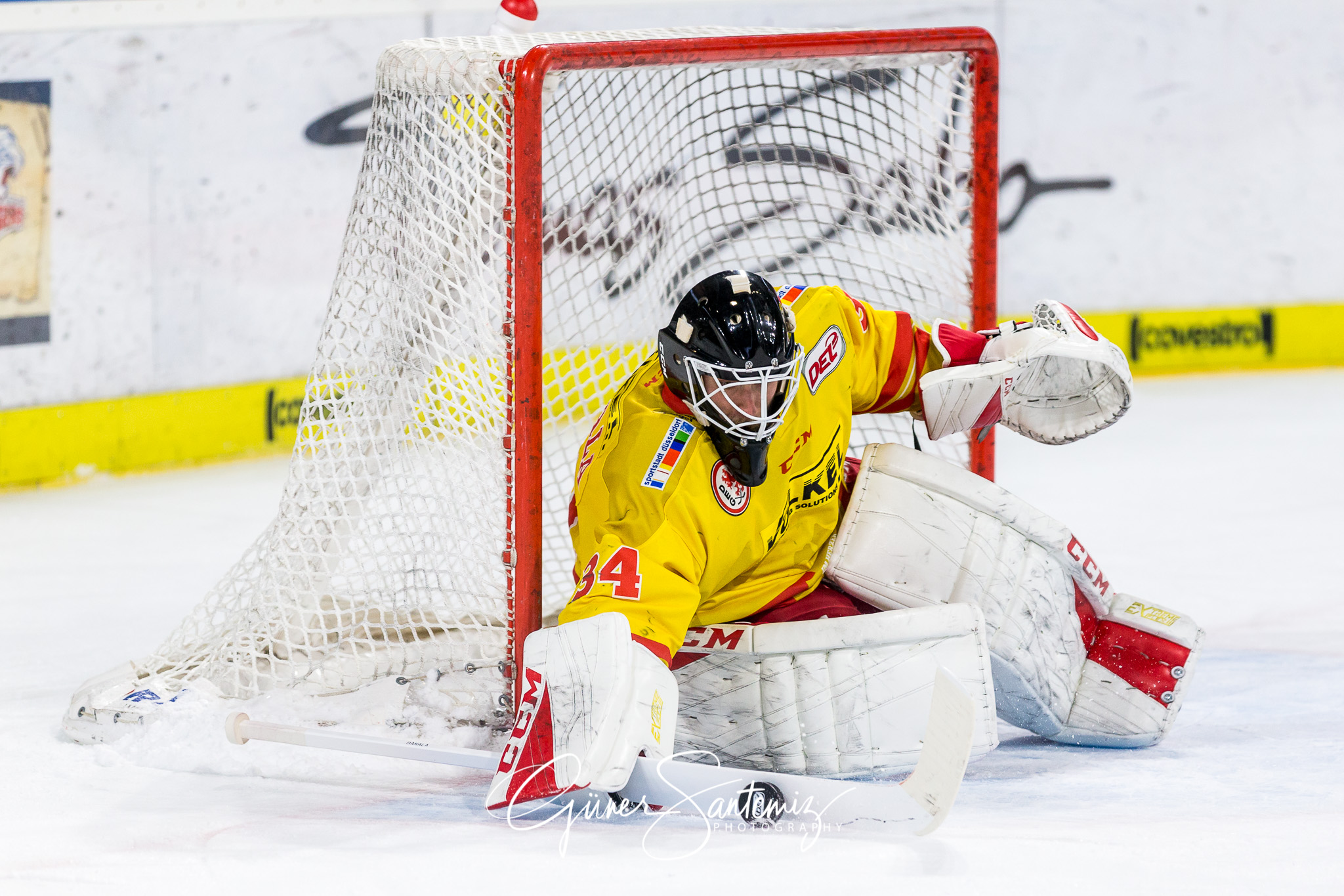Nuernberg Ice Tigers - Duesseldorfer EG