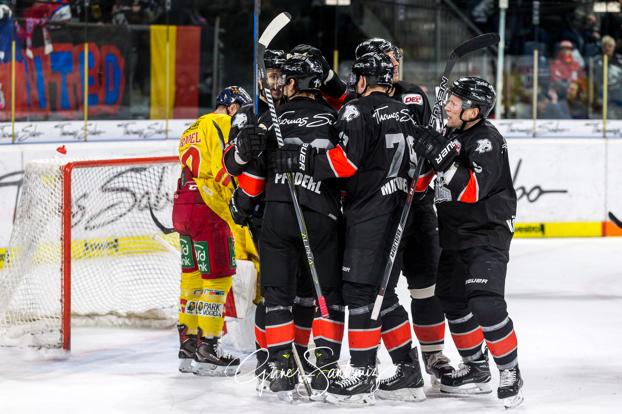 Nuernberg Ice Tigers - Duesseldorfer EG