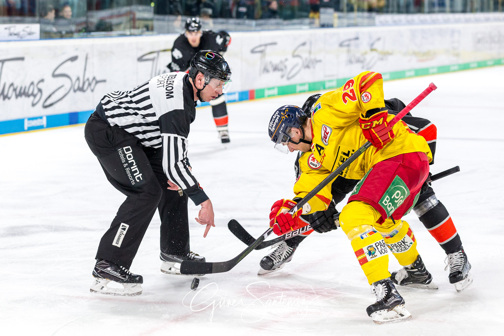 Nuernberg Ice Tigers - Duesseldorfer EG