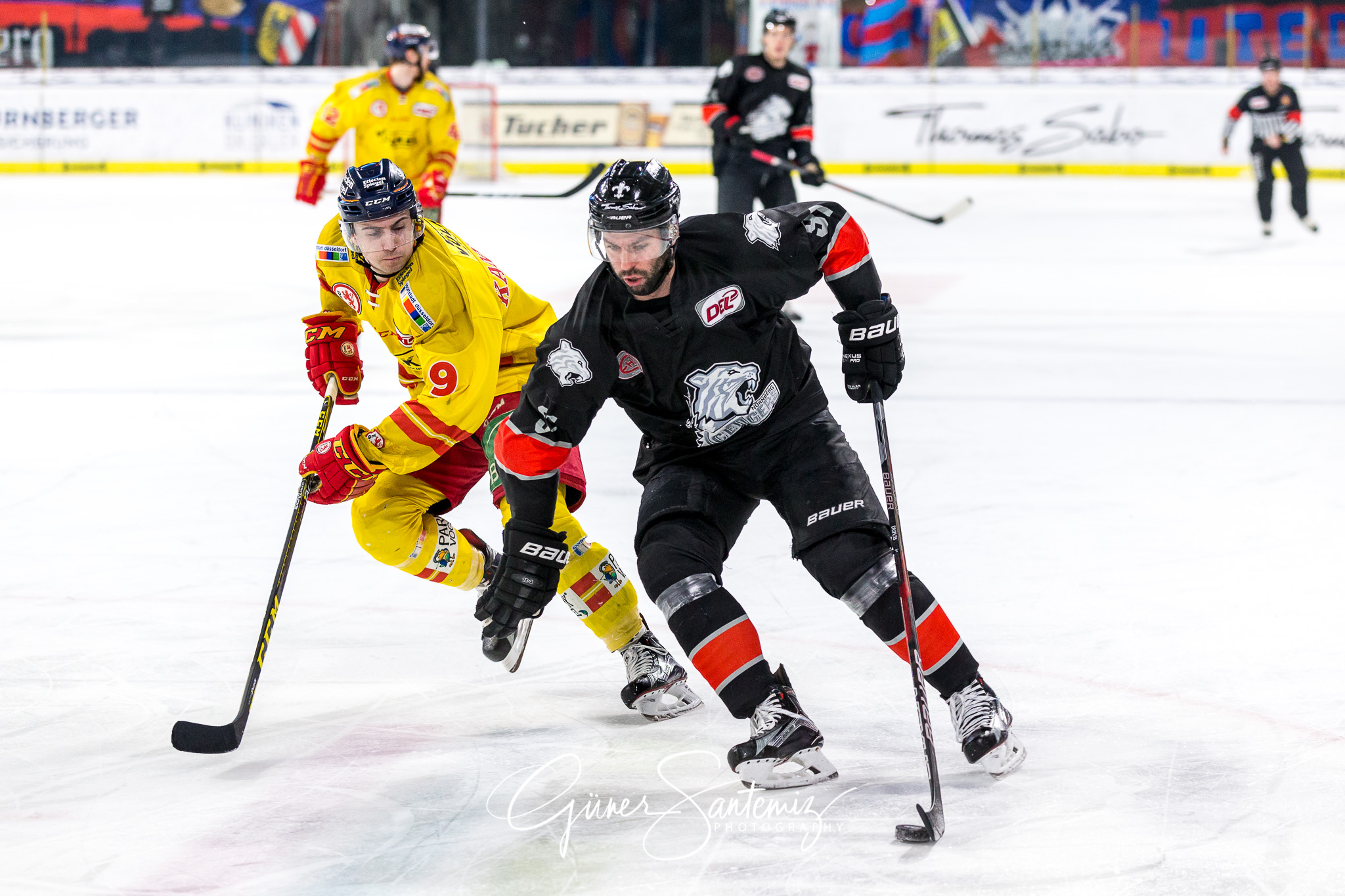 Nuernberg Ice Tigers - Duesseldorfer EG
