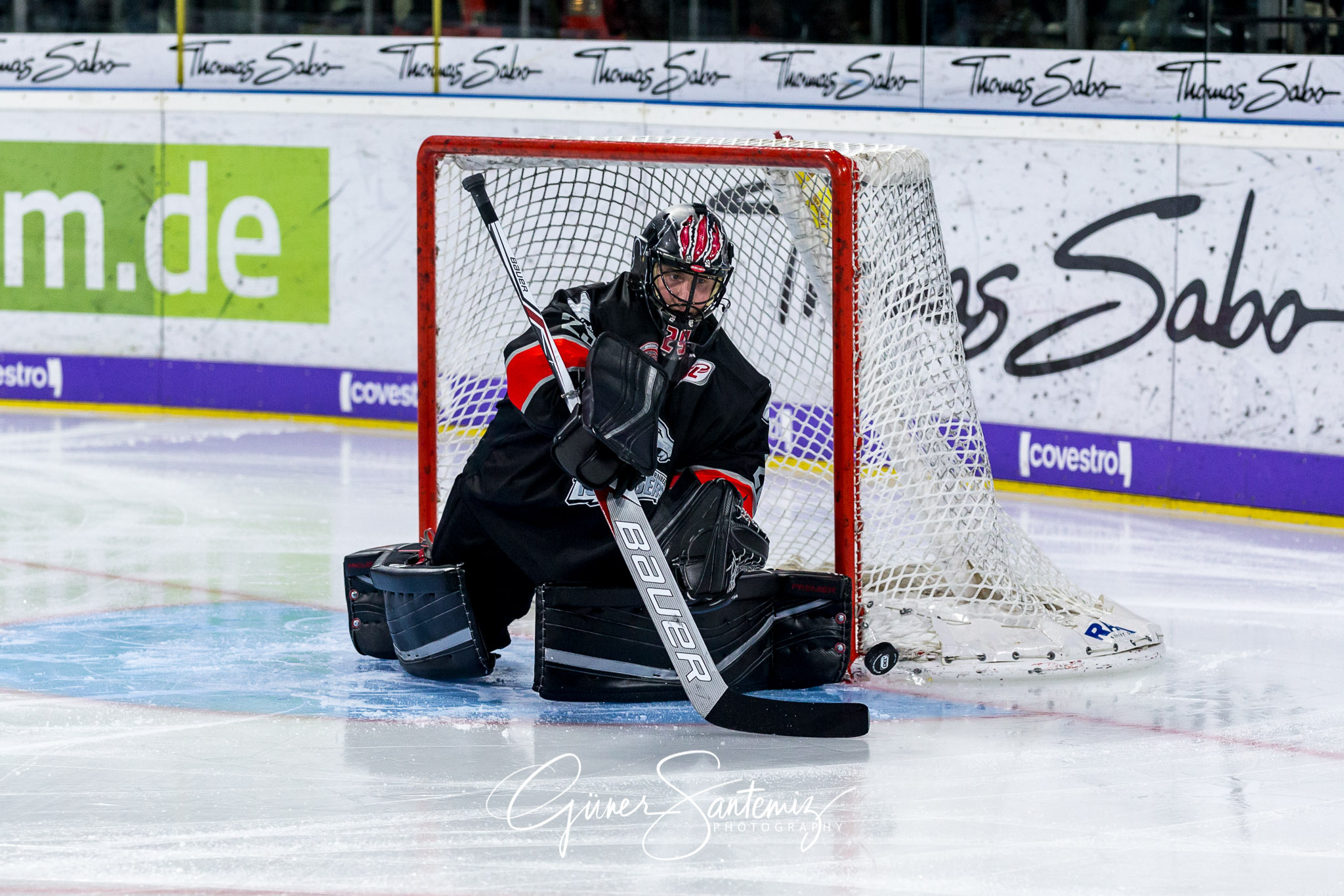 Nuernberg Ice Tigers - Straubing Tigers