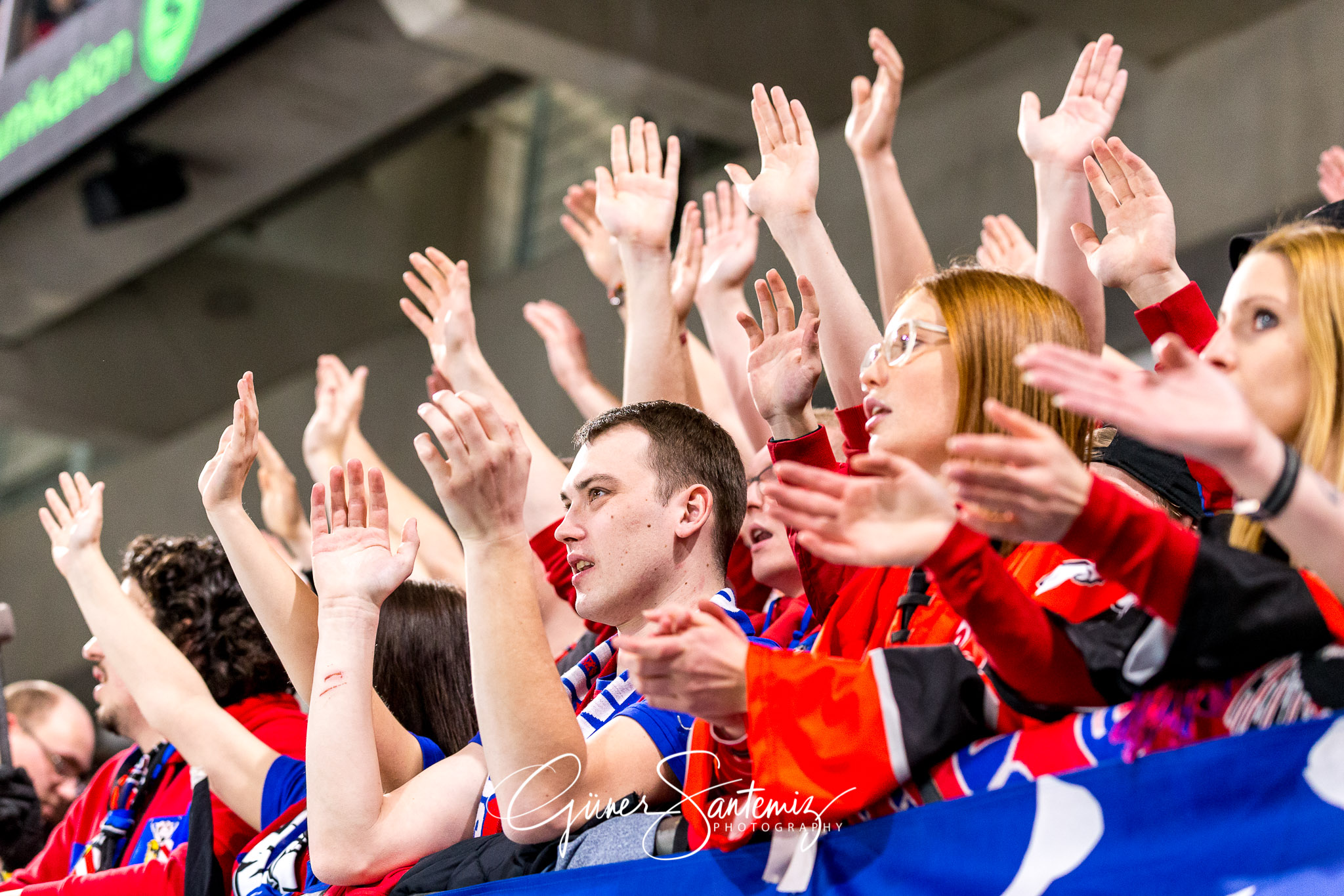 Nuernberg Ice Tigers - Straubing Tigers