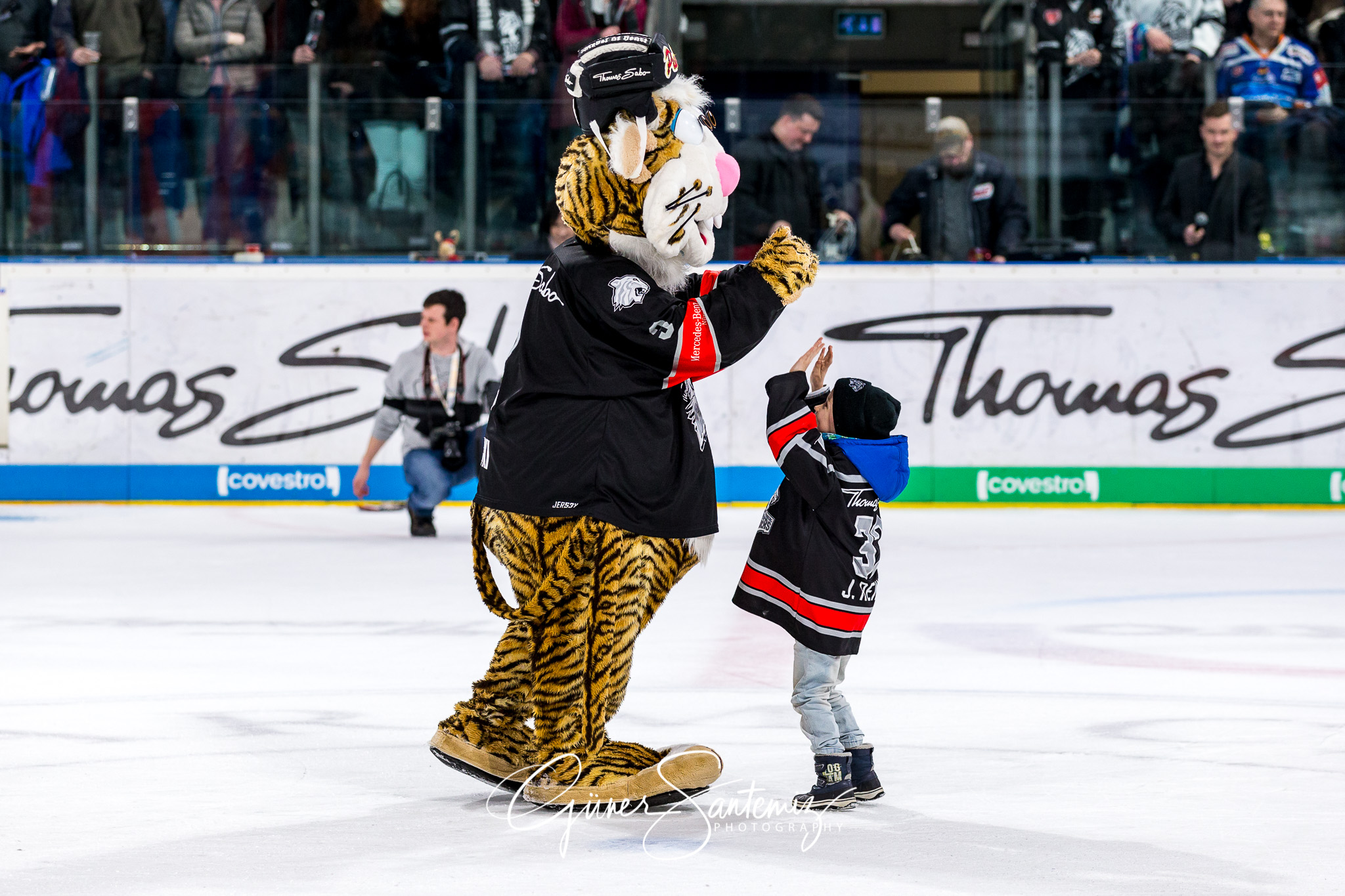 Nuernberg Ice Tigers - Straubing Tigers