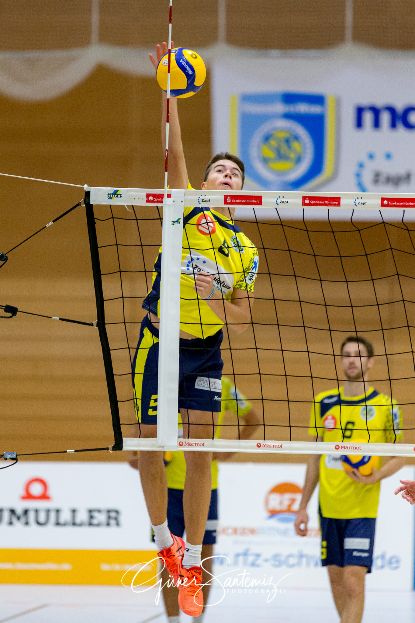 SV Schwaig - Dentalservice Gust VC Dresden
