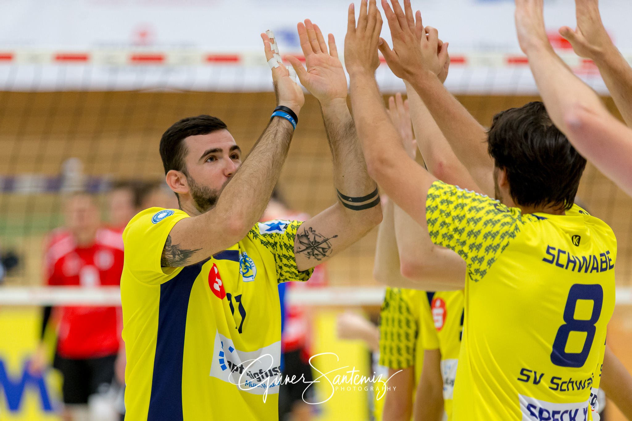 SV Schwaig - Dentalservice Gust VC Dresden