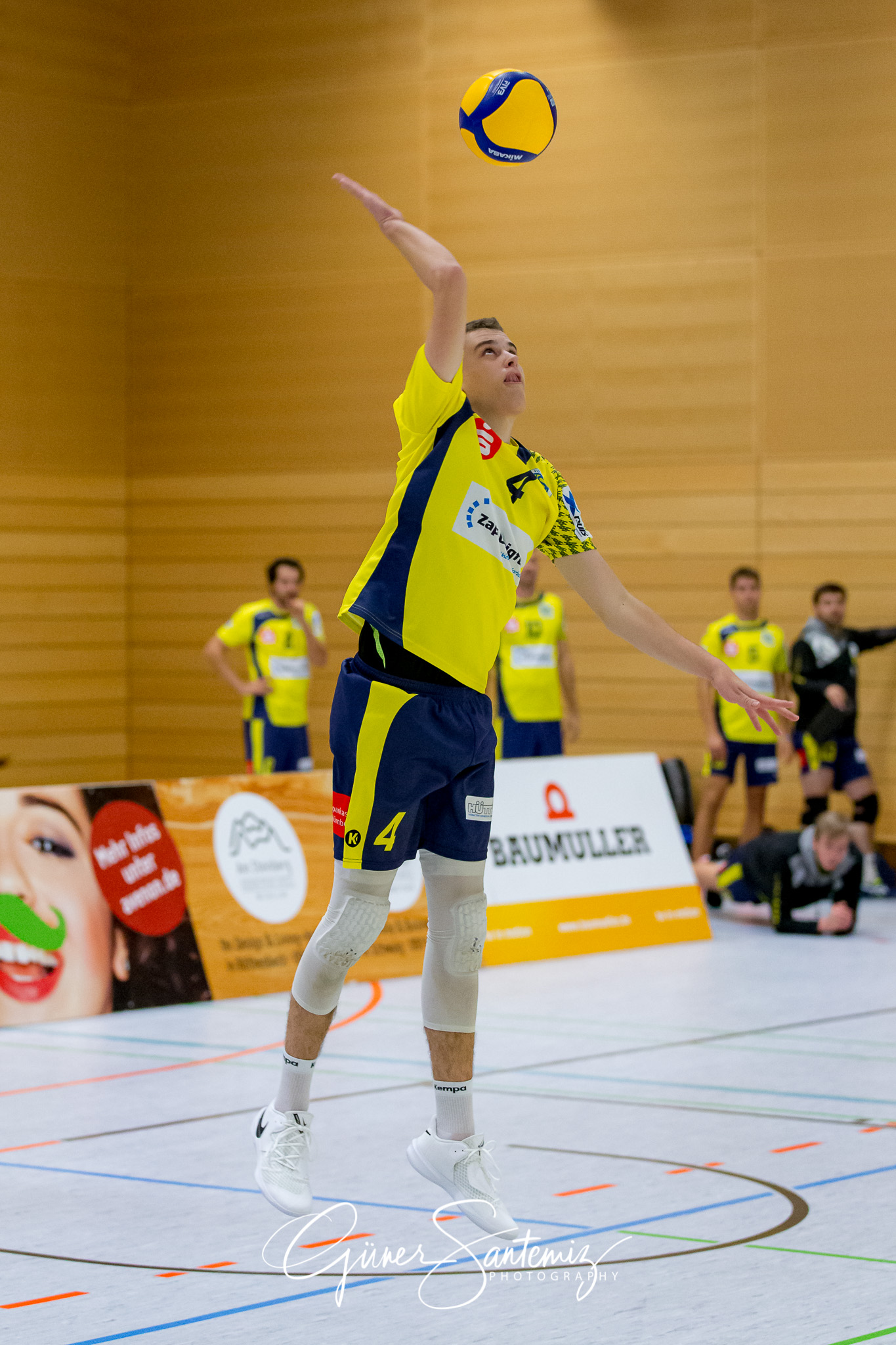 SV Schwaig - Dentalservice Gust VC Dresden