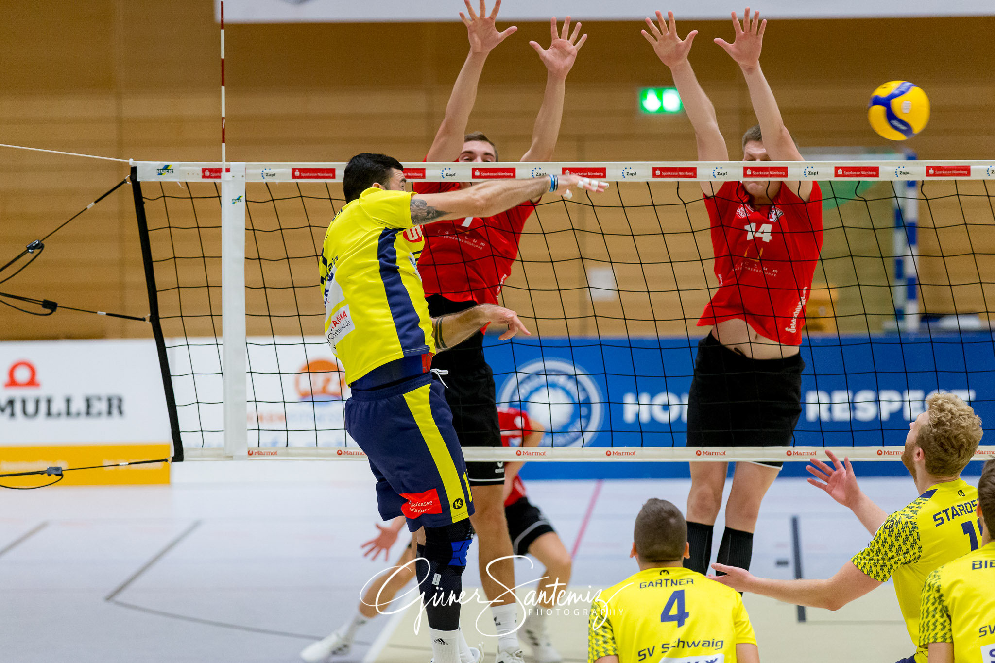 SV Schwaig - Dentalservice Gust VC Dresden