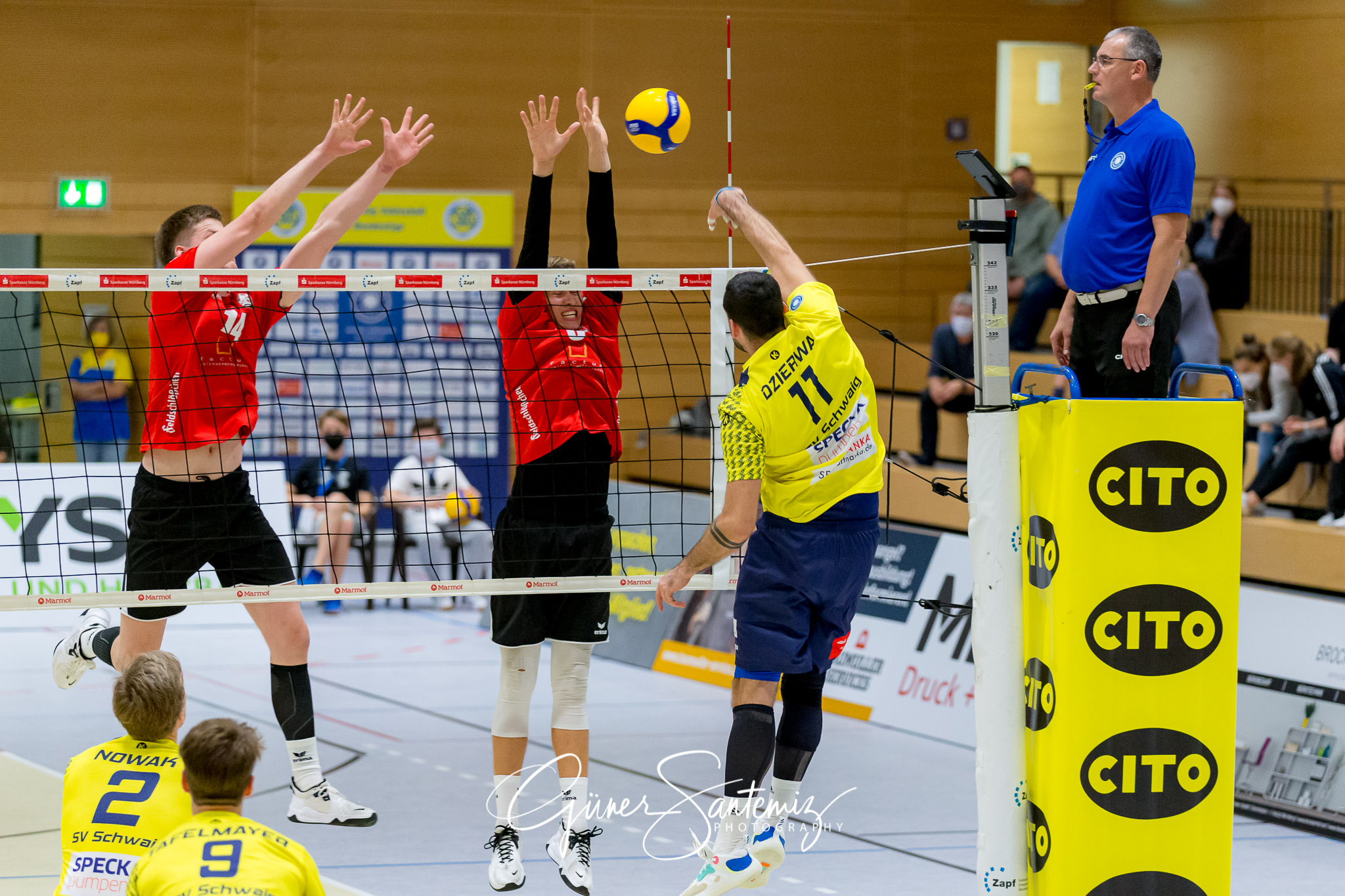 SV Schwaig - Dentalservice Gust VC Dresden