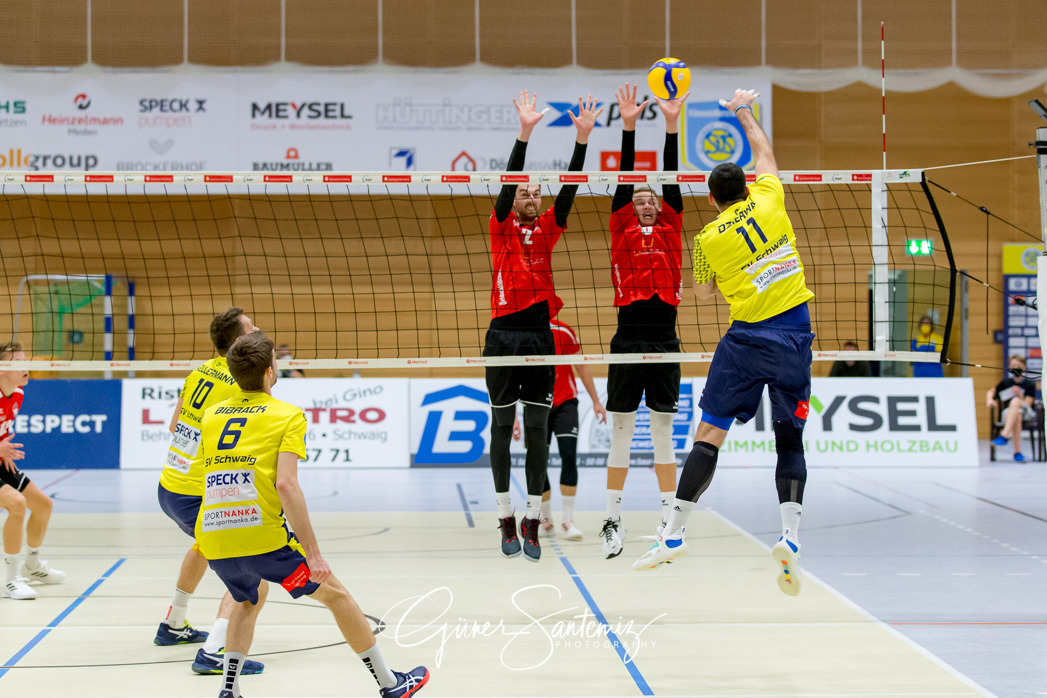 SV Schwaig - Dentalservice Gust VC Dresden