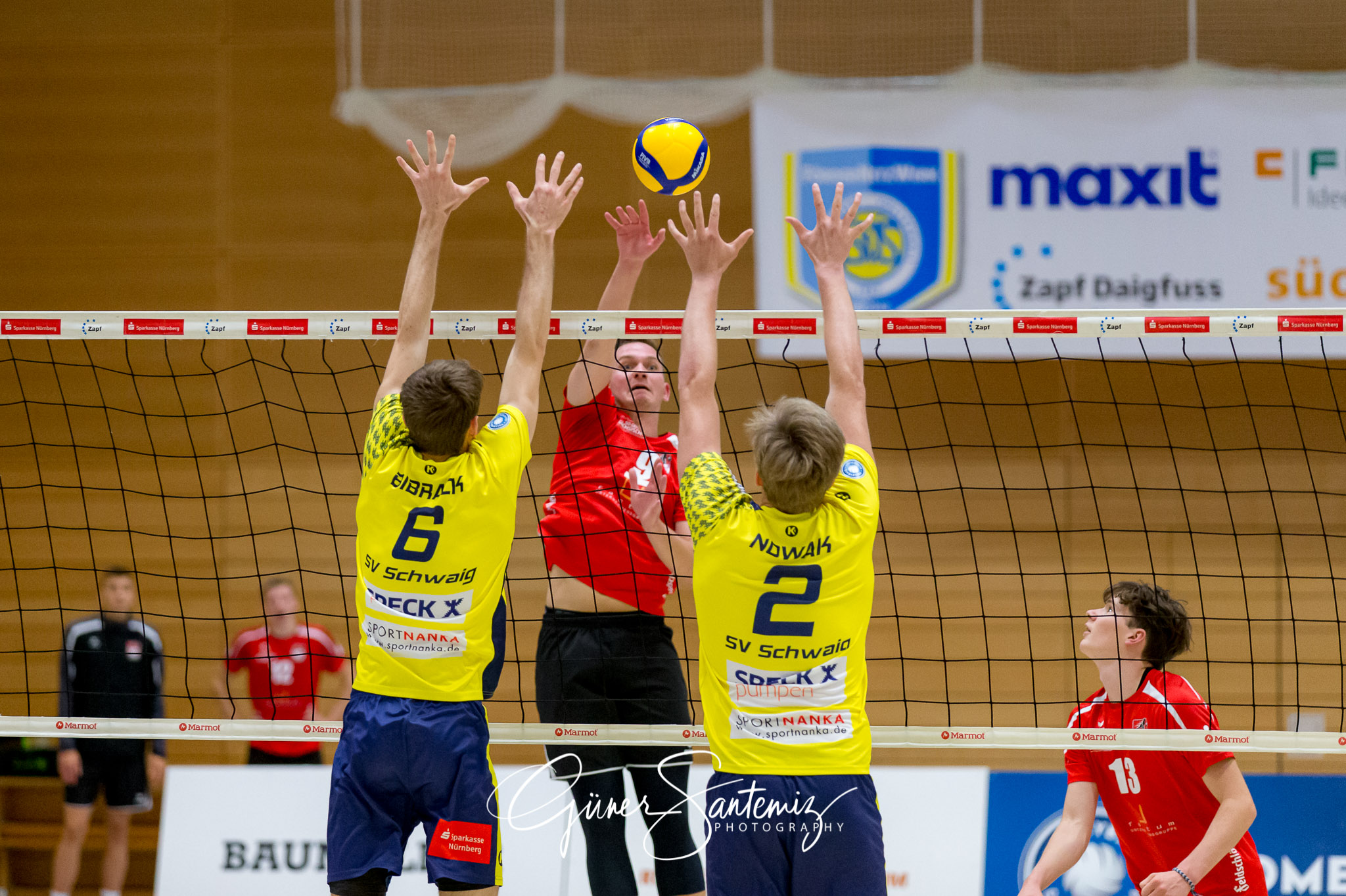 SV Schwaig - Dentalservice Gust VC Dresden