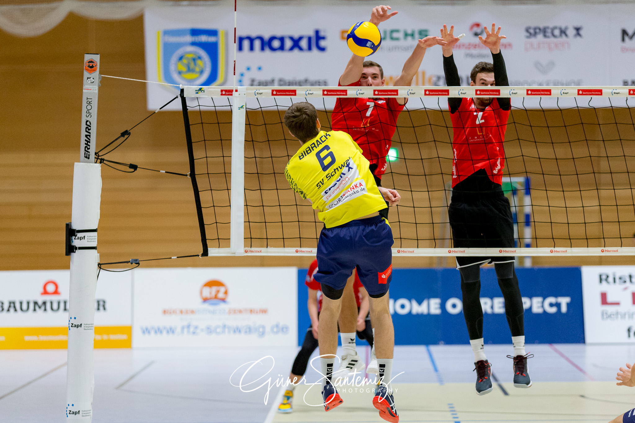 SV Schwaig - Dentalservice Gust VC Dresden