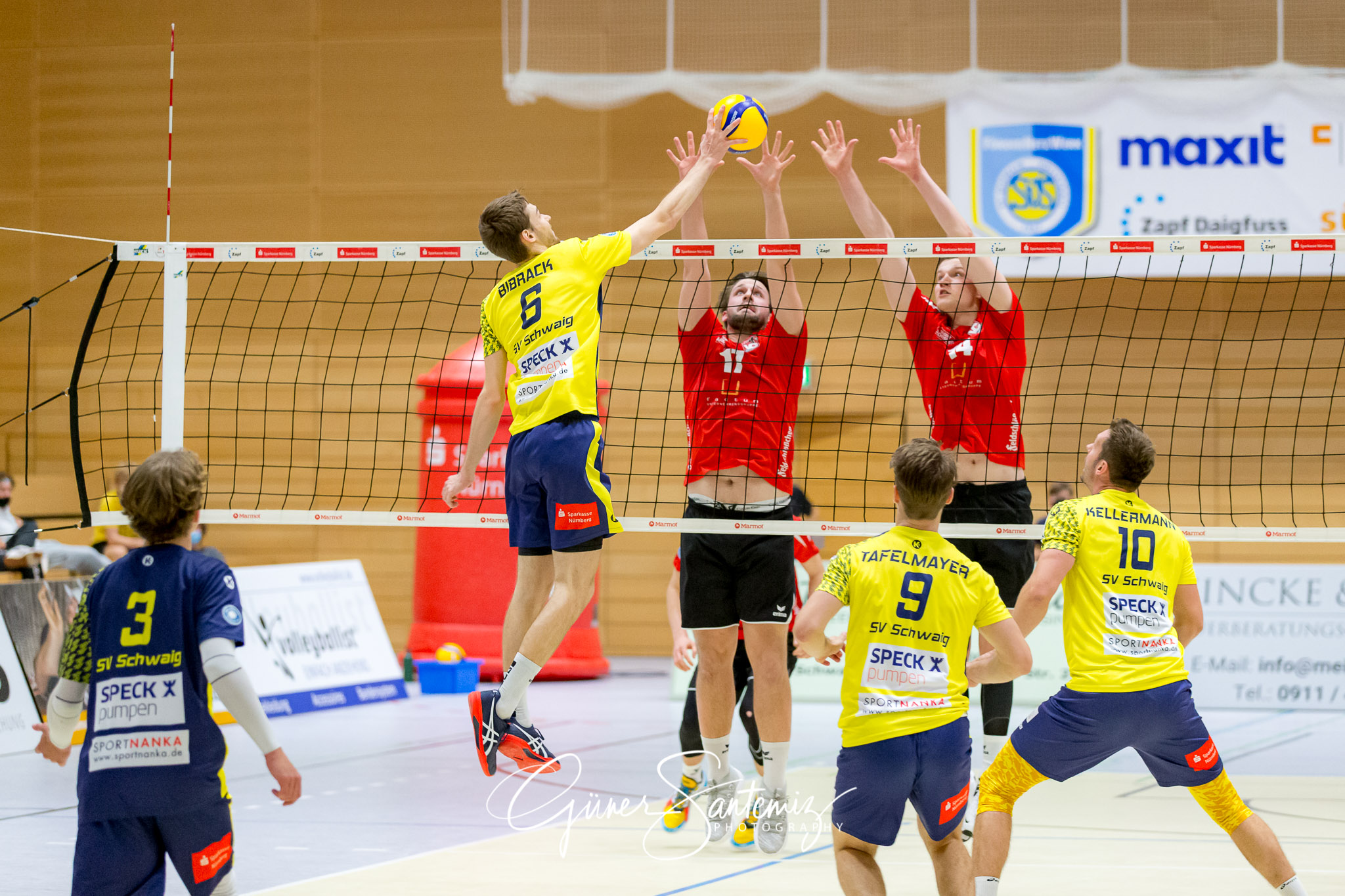 SV Schwaig - Dentalservice Gust VC Dresden