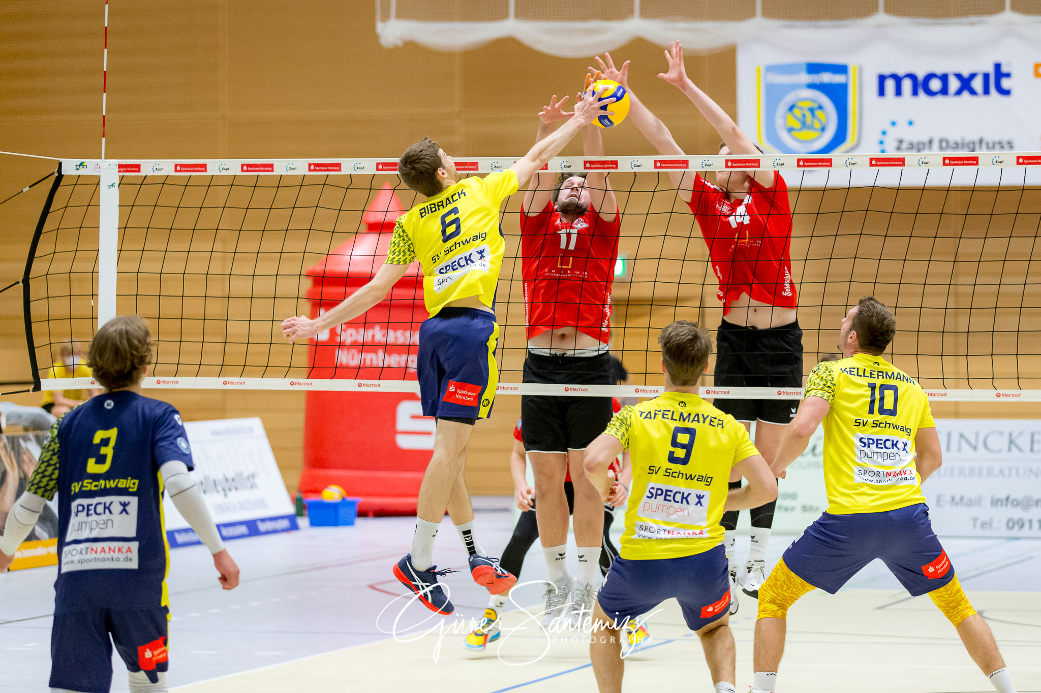 SV Schwaig - Dentalservice Gust VC Dresden