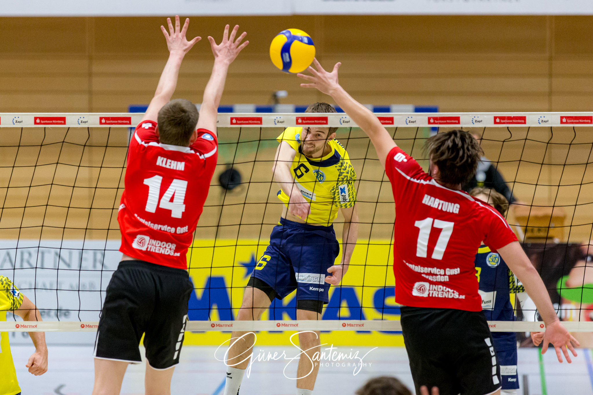 SV Schwaig - Dentalservice Gust VC Dresden