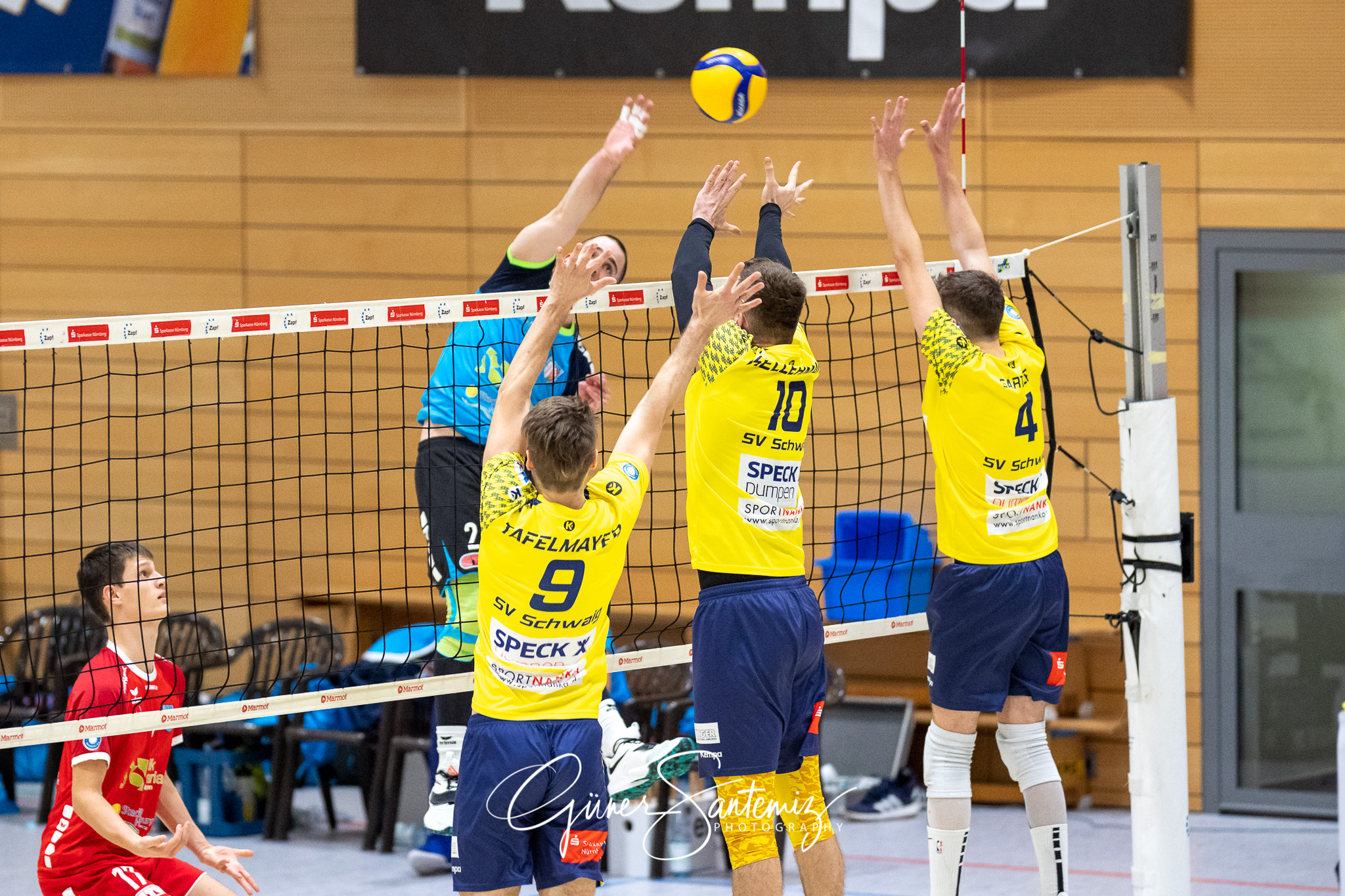 SV Schwaig vs. TV/DJK Hammelburg - Volleyball - 2. Bundesliga -