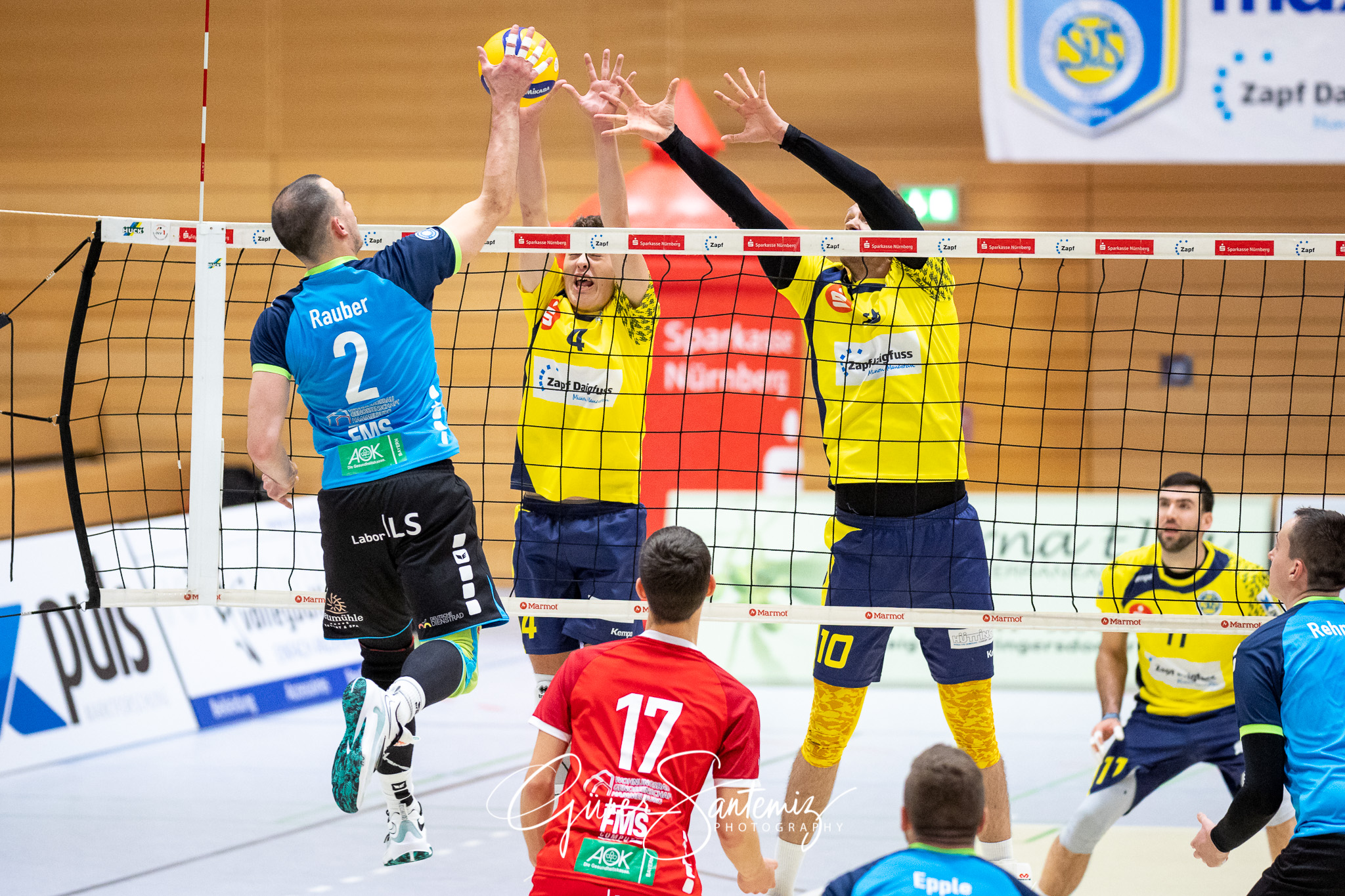 SV Schwaig vs. TV/DJK Hammelburg - Volleyball - 2. Bundesliga -