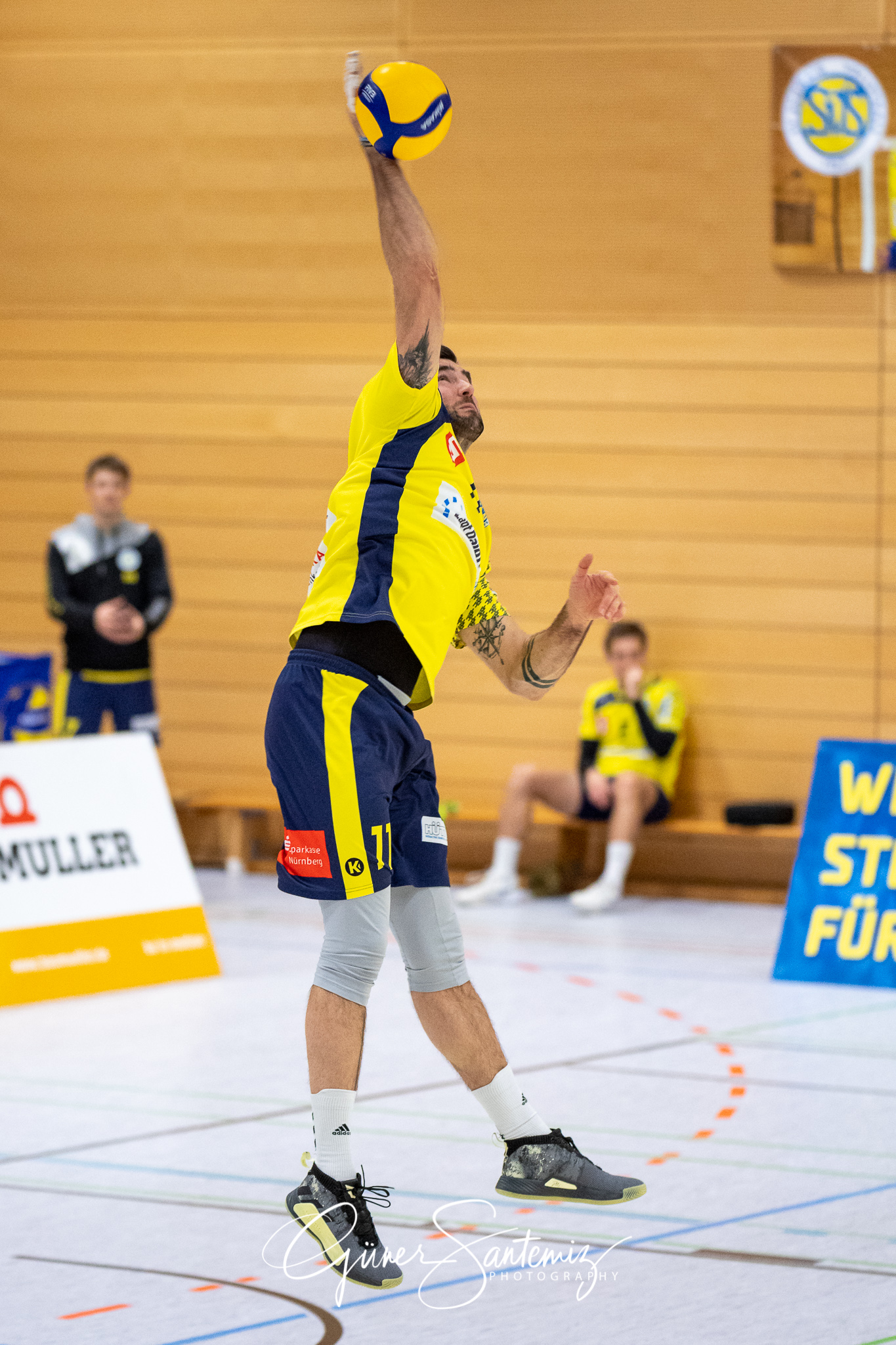 SV Schwaig vs. TV/DJK Hammelburg - Volleyball - 2. Bundesliga -