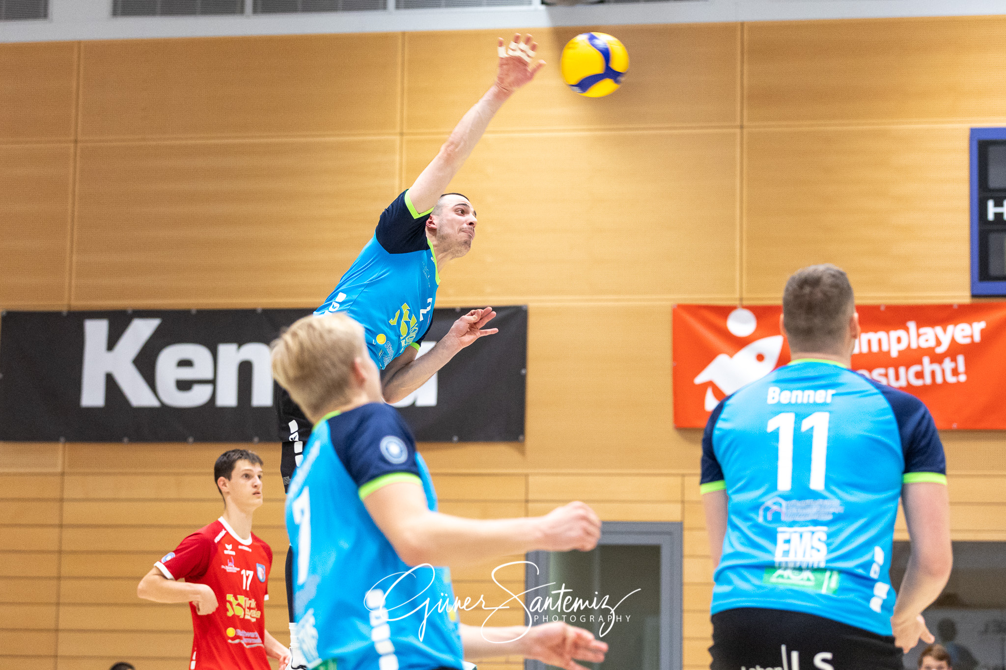 SV Schwaig vs. TV/DJK Hammelburg - Volleyball - 2. Bundesliga -