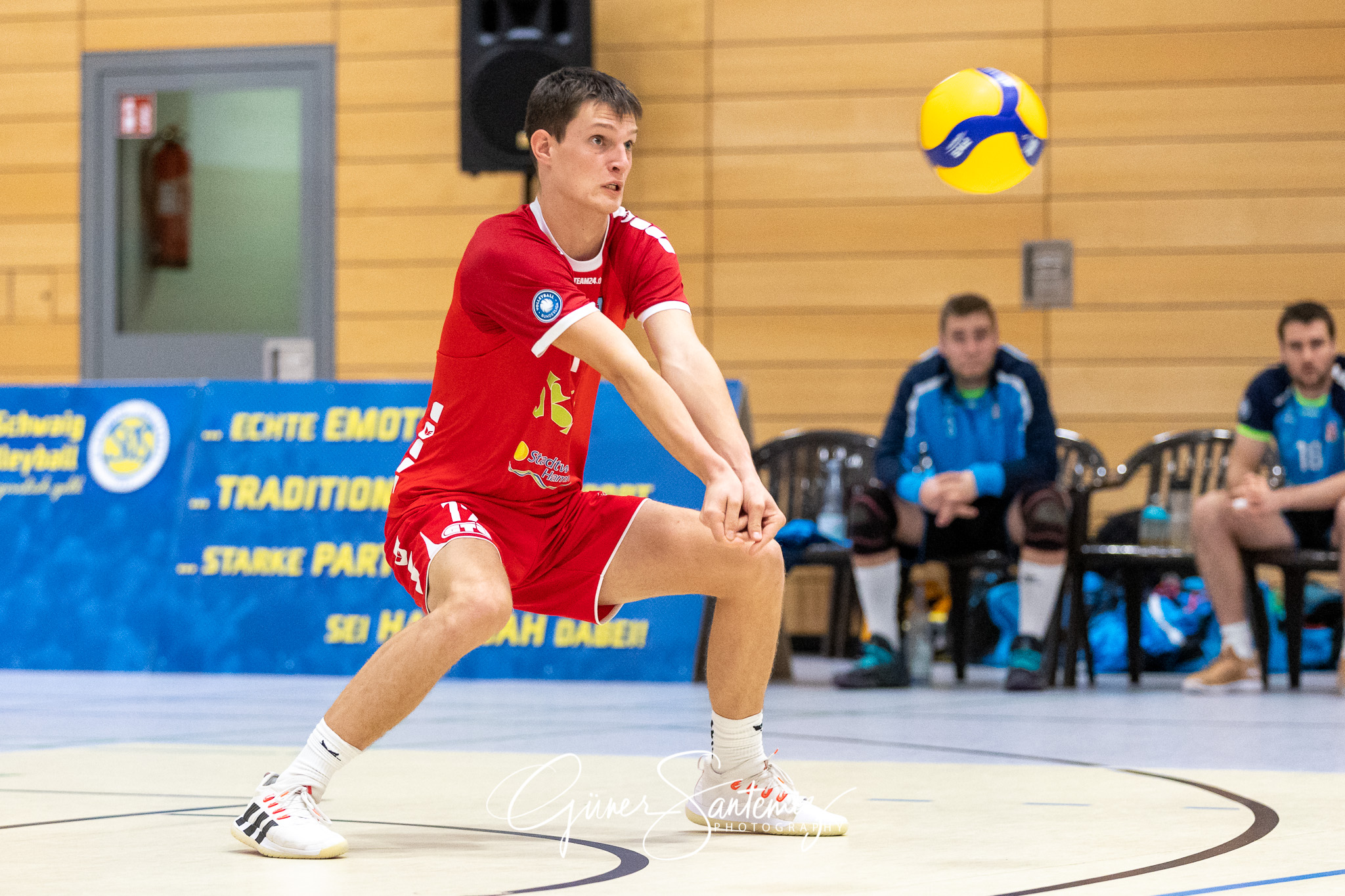 SV Schwaig vs. TV/DJK Hammelburg - Volleyball - 2. Bundesliga -