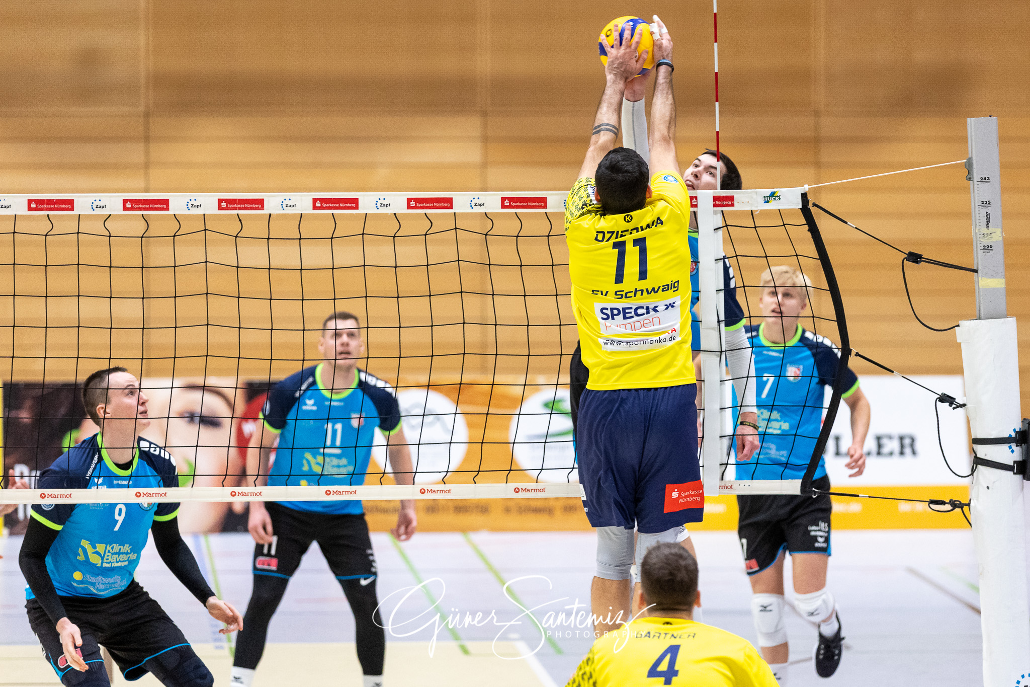 SV Schwaig vs. TV/DJK Hammelburg - Volleyball - 2. Bundesliga -