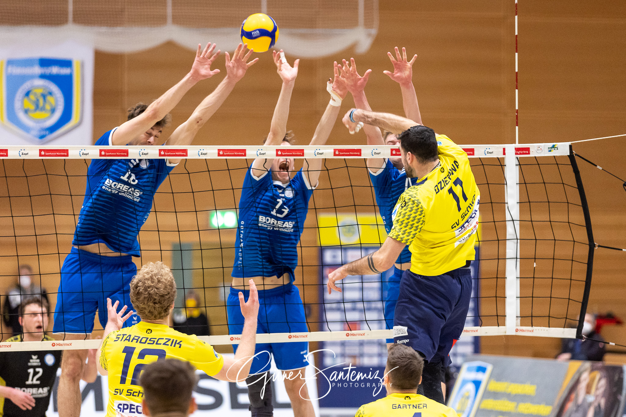 SV Schwaig vs. Blue Volleys Gotha - Volleyball - 2. Bundesliga -