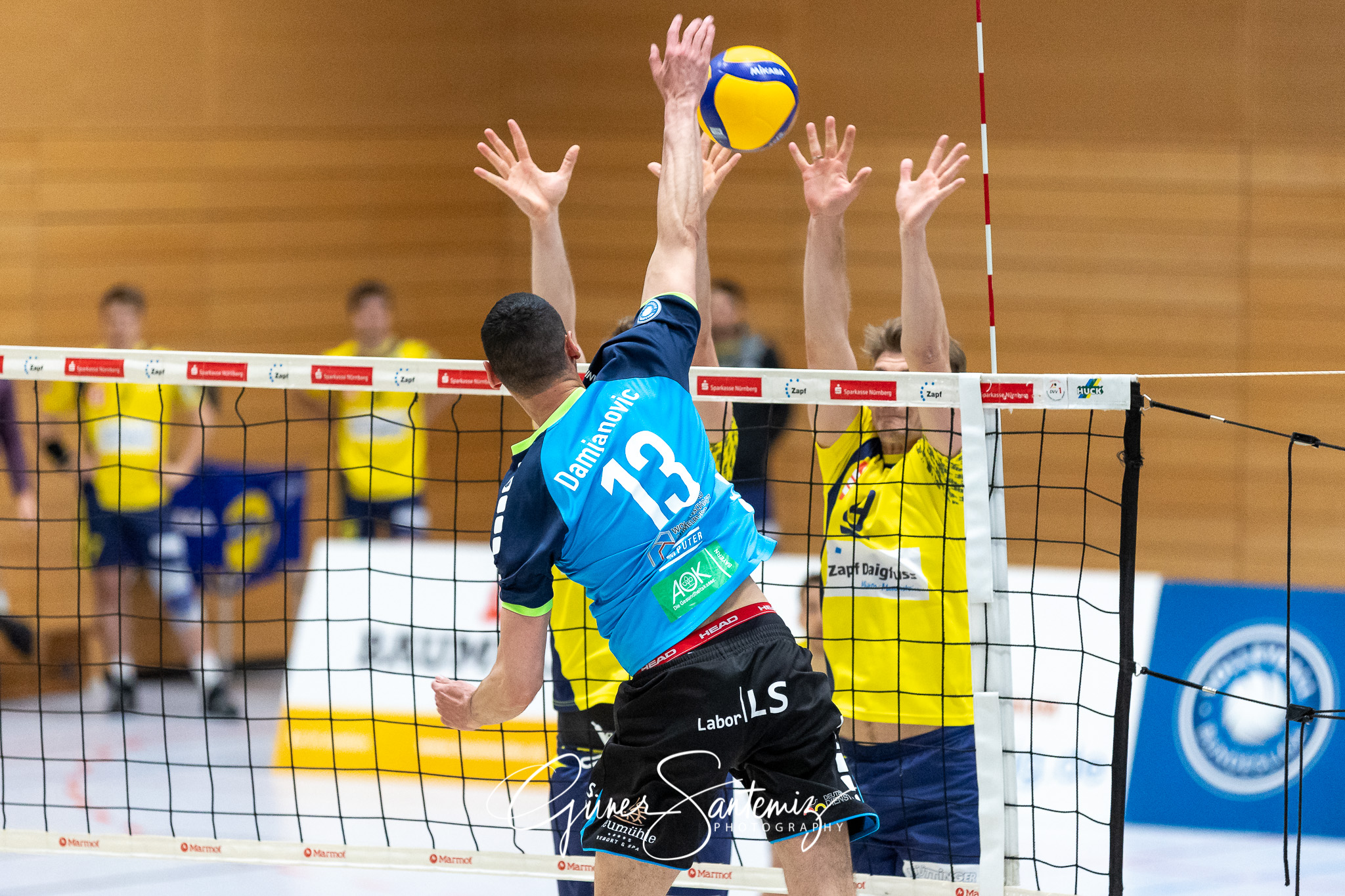 TV/DJK Hammelburg vs. SV Schwaig - Volleyball - 2. Bundesliga -