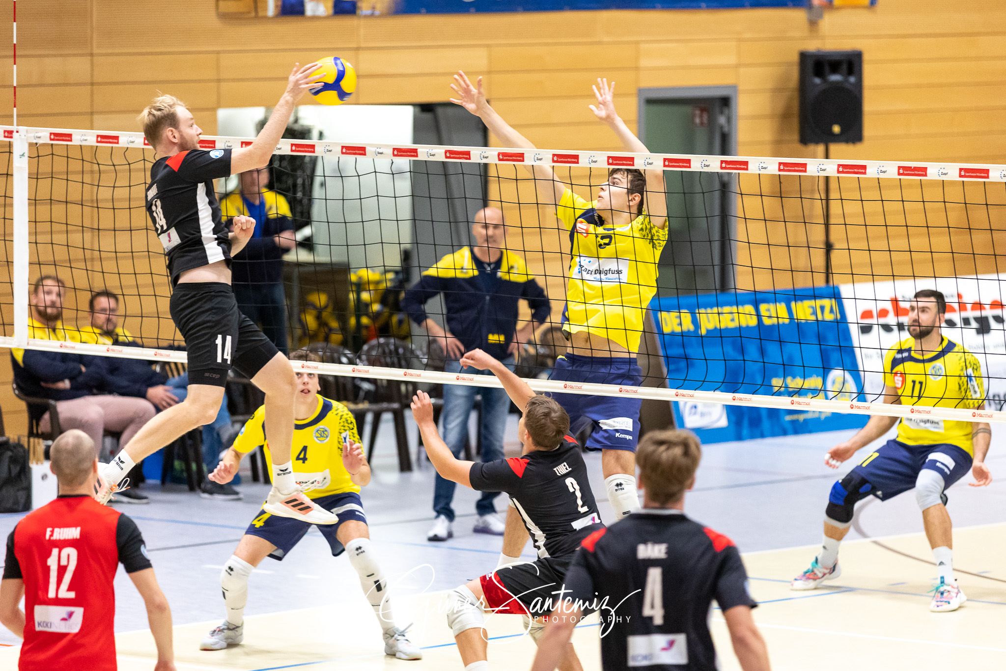 SV Schwaig vs. TuS Kriftel - Volleyball - 2. Bundesliga Sued - 1