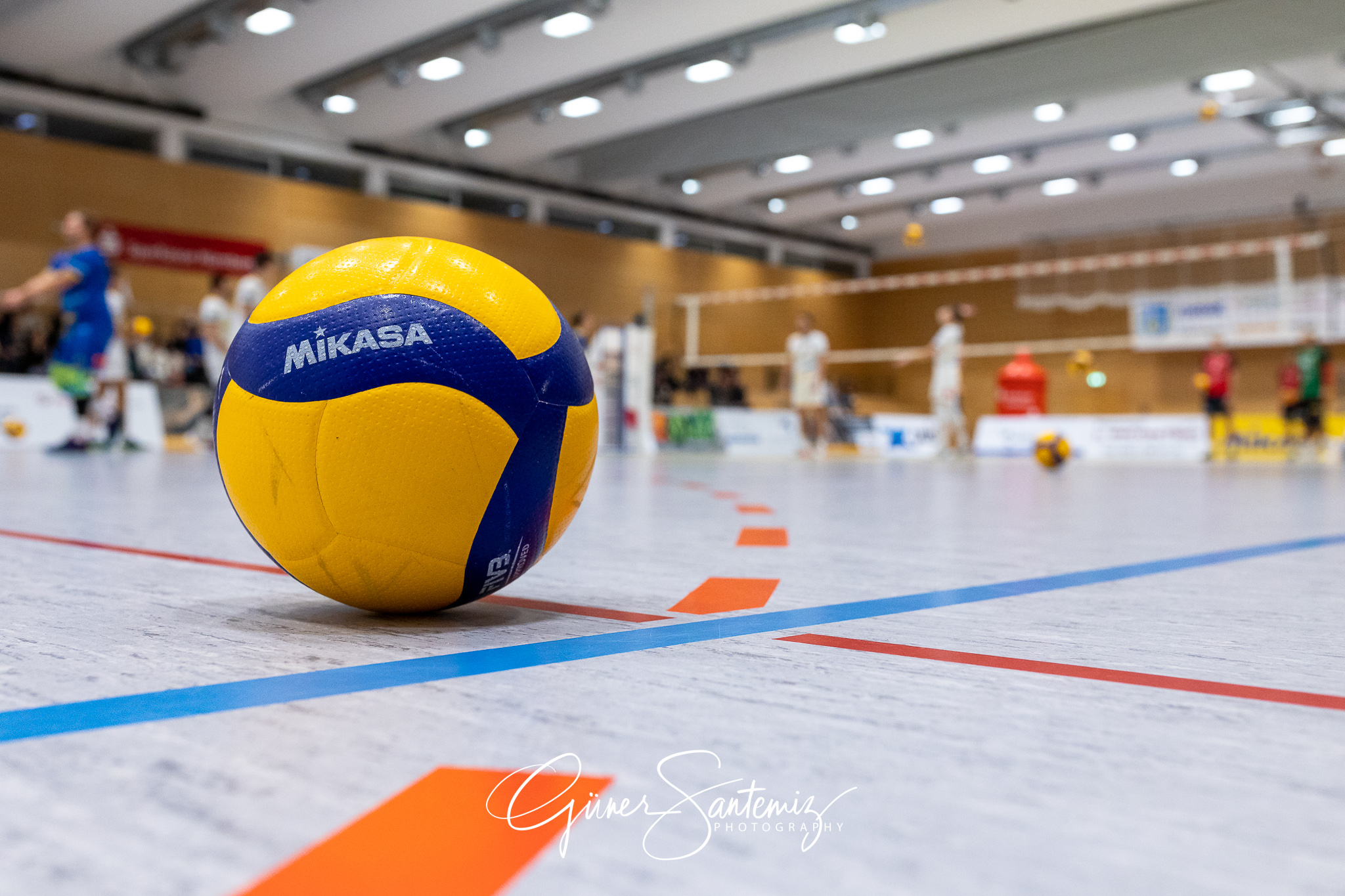 SV Schwaig - Baden Volleys SSC Karlsruhe - Volleyball - 2. Bunde