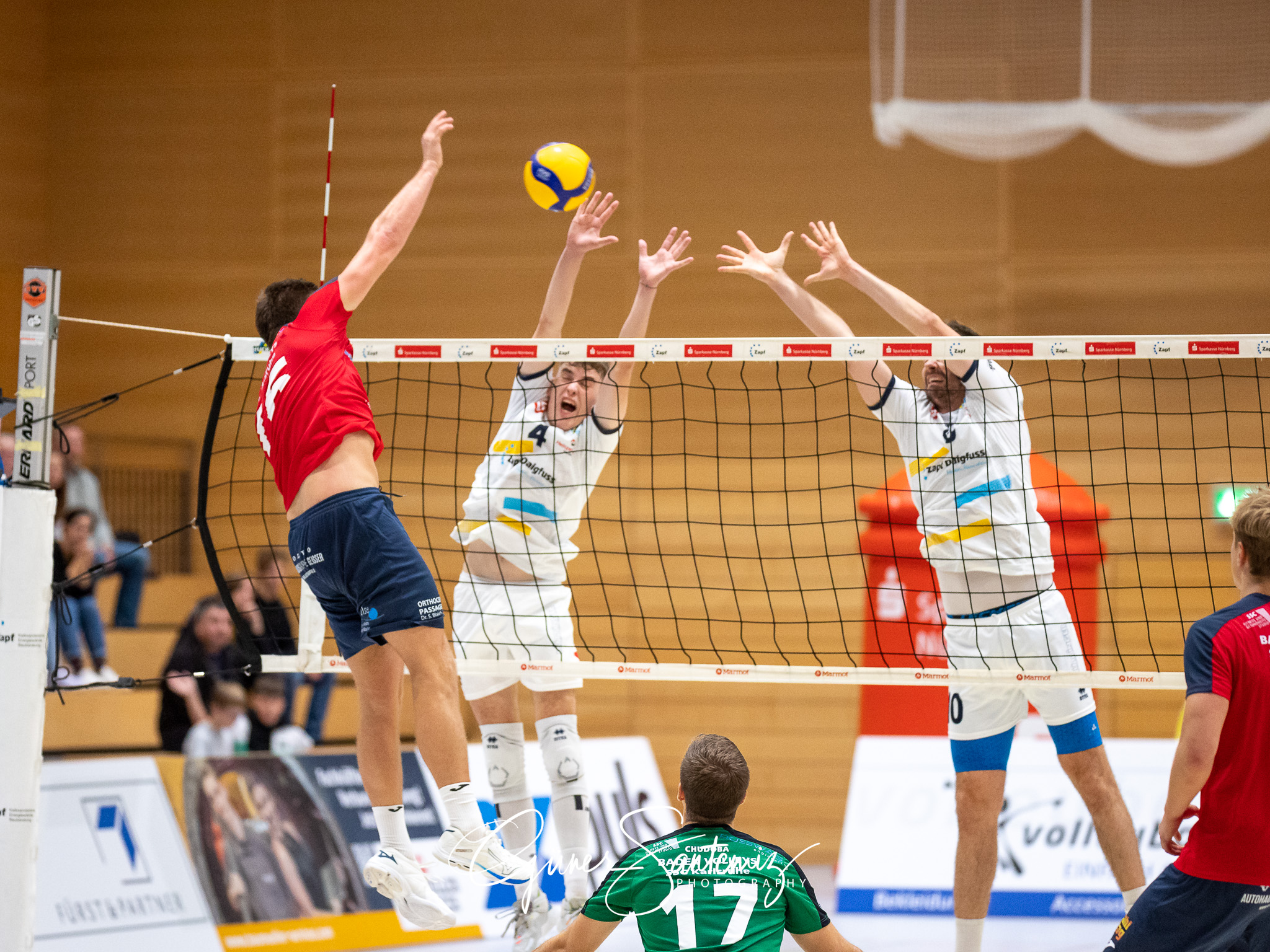SV Schwaig - Baden Volleys SSC Karlsruhe - Volleyball - 2. Bunde