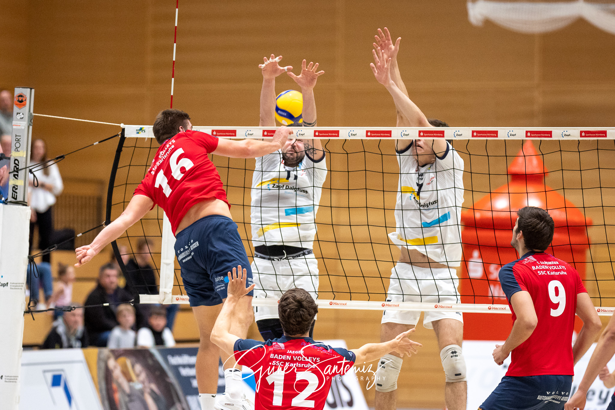 SV Schwaig - Baden Volleys SSC Karlsruhe - Volleyball - 2. Bunde