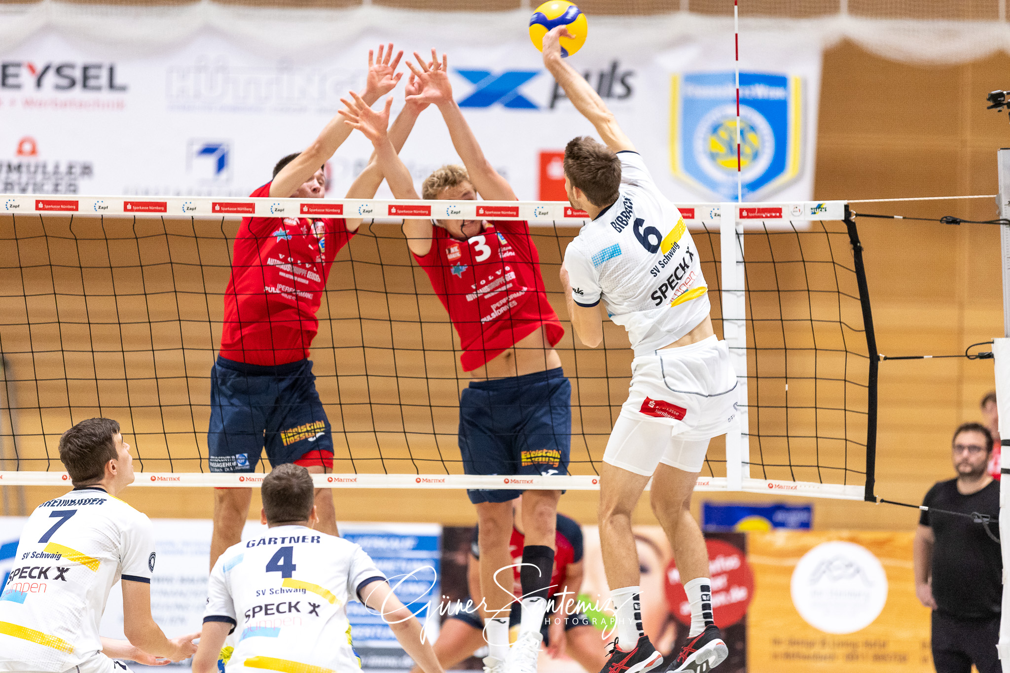 SV Schwaig - Baden Volleys SSC Karlsruhe - Volleyball - 2. Bunde