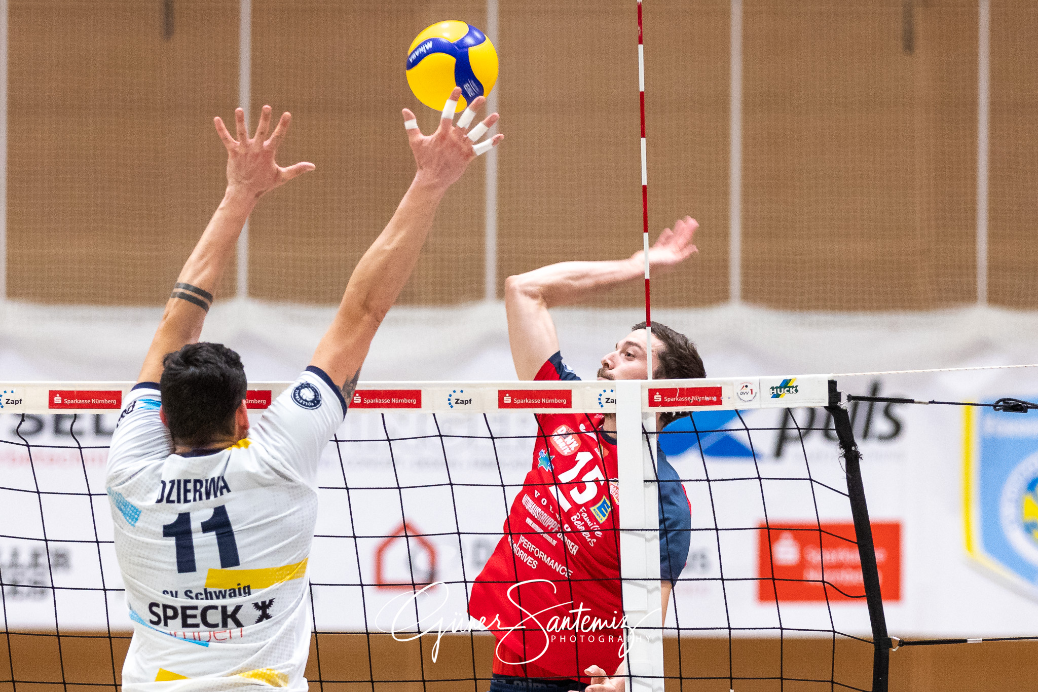 SV Schwaig - Baden Volleys SSC Karlsruhe - Volleyball - 2. Bunde