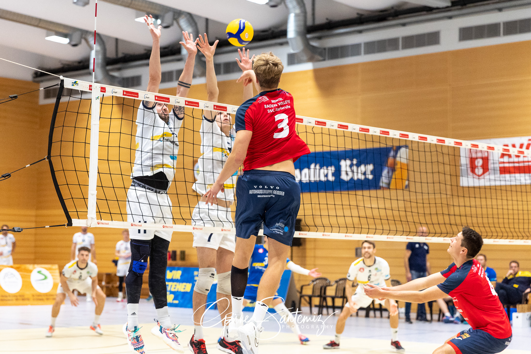 SV Schwaig - Baden Volleys SSC Karlsruhe - Volleyball - 2. Bunde
